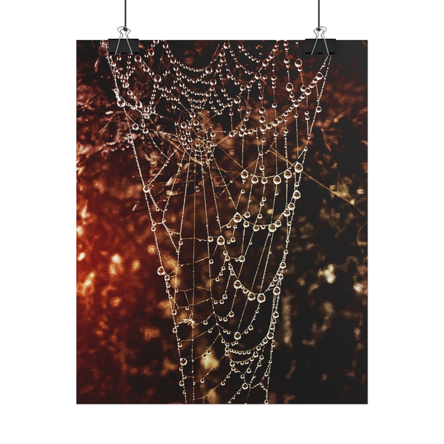 Jewels of Dawn V.2 Rolled Poster