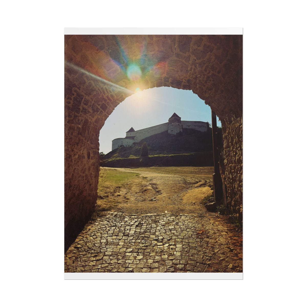 Rasnov Fortress Rolled Posters