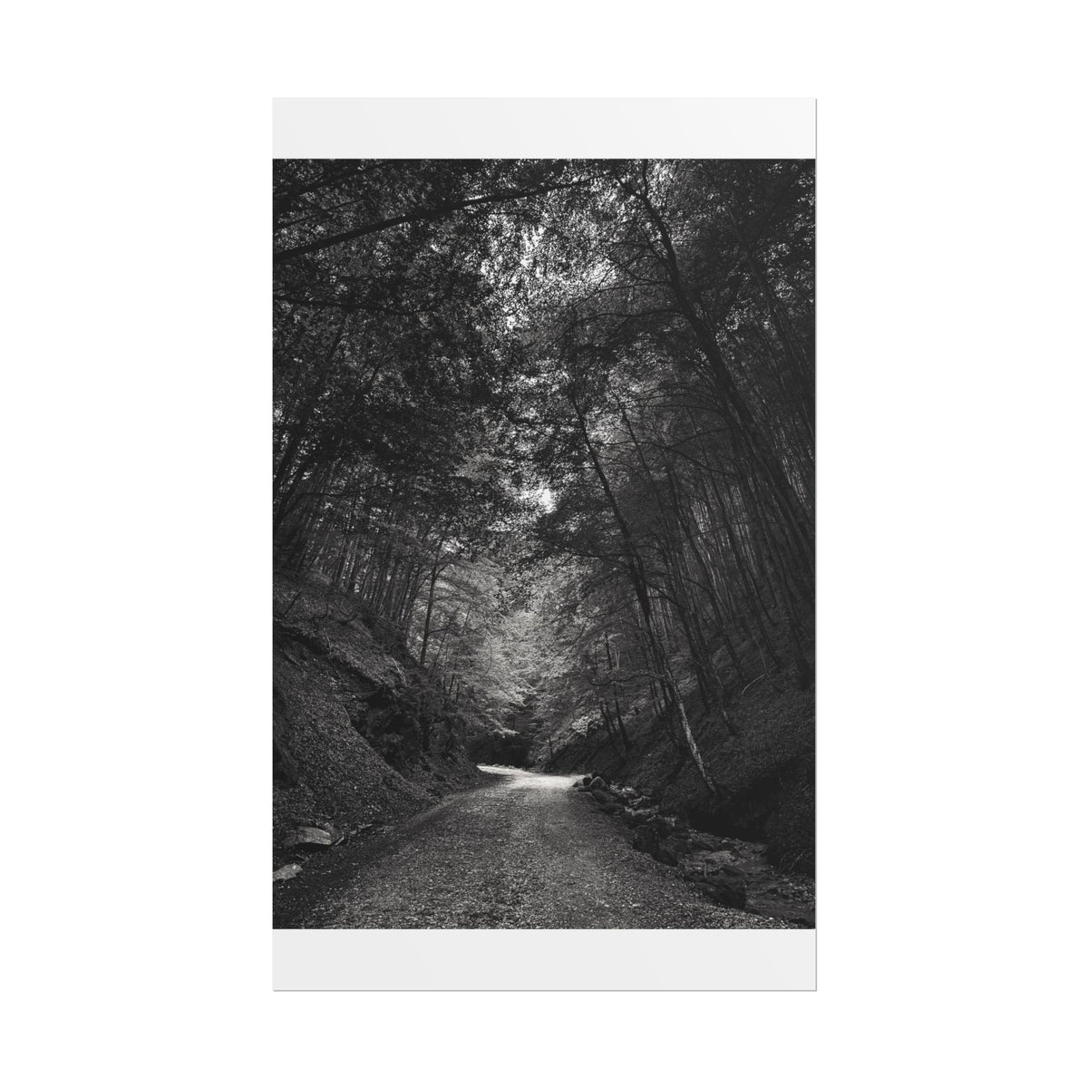 Carpathian Forest Rolled Posters