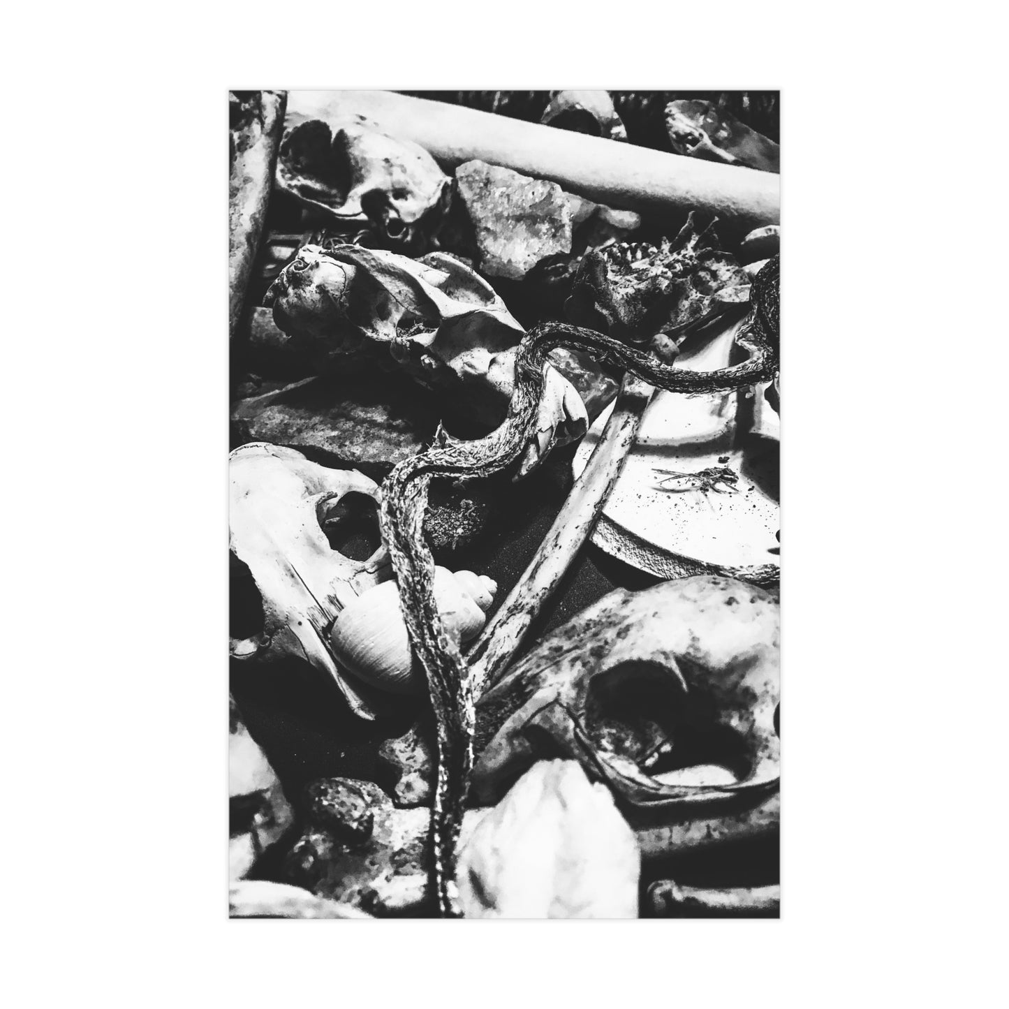 Them Bones Paper Print