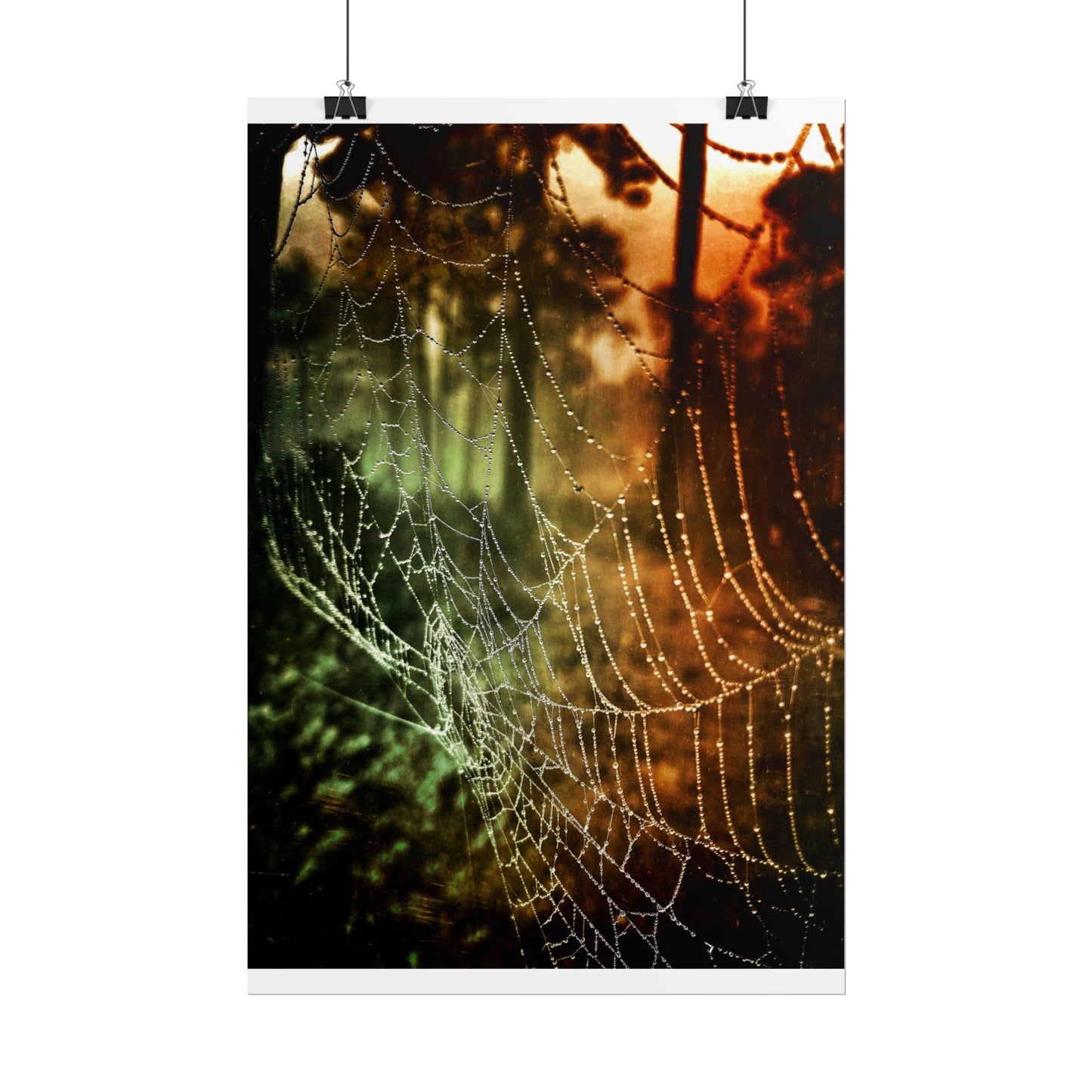 Tears of Dawn (V.2) Rolled Poster