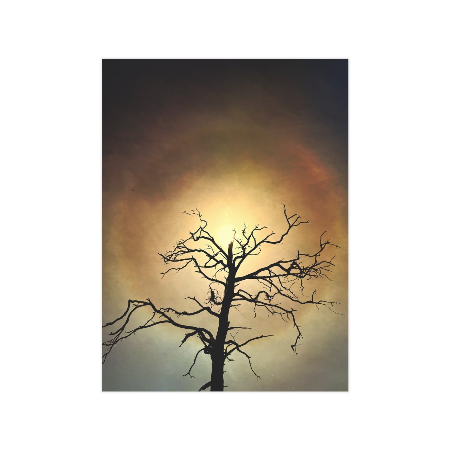 The Eye Opens Paper Print