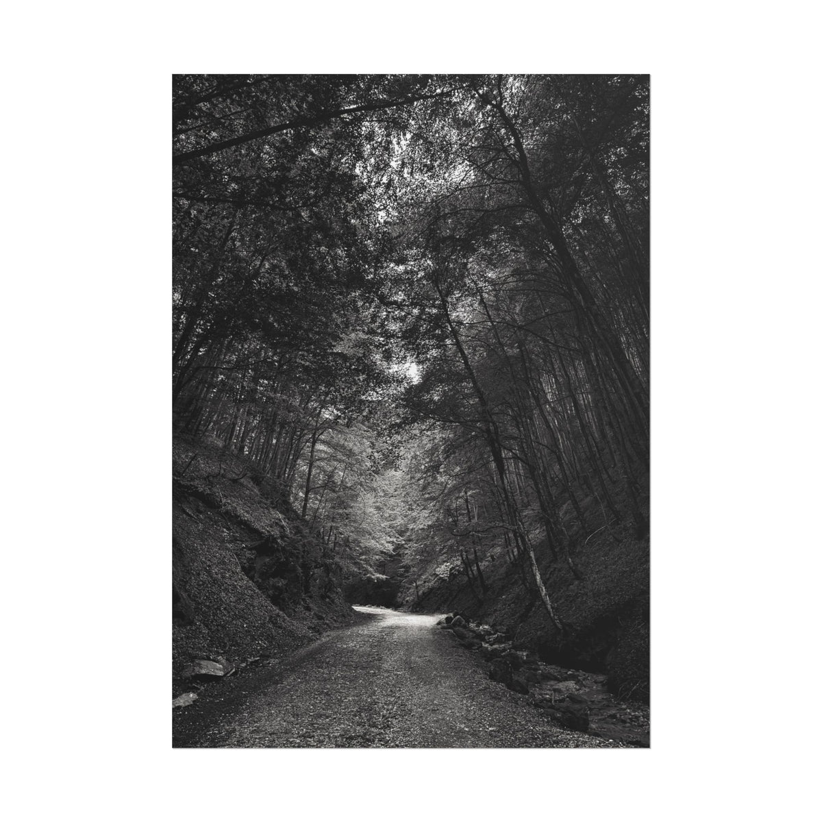 Carpathian Forest Rolled Posters