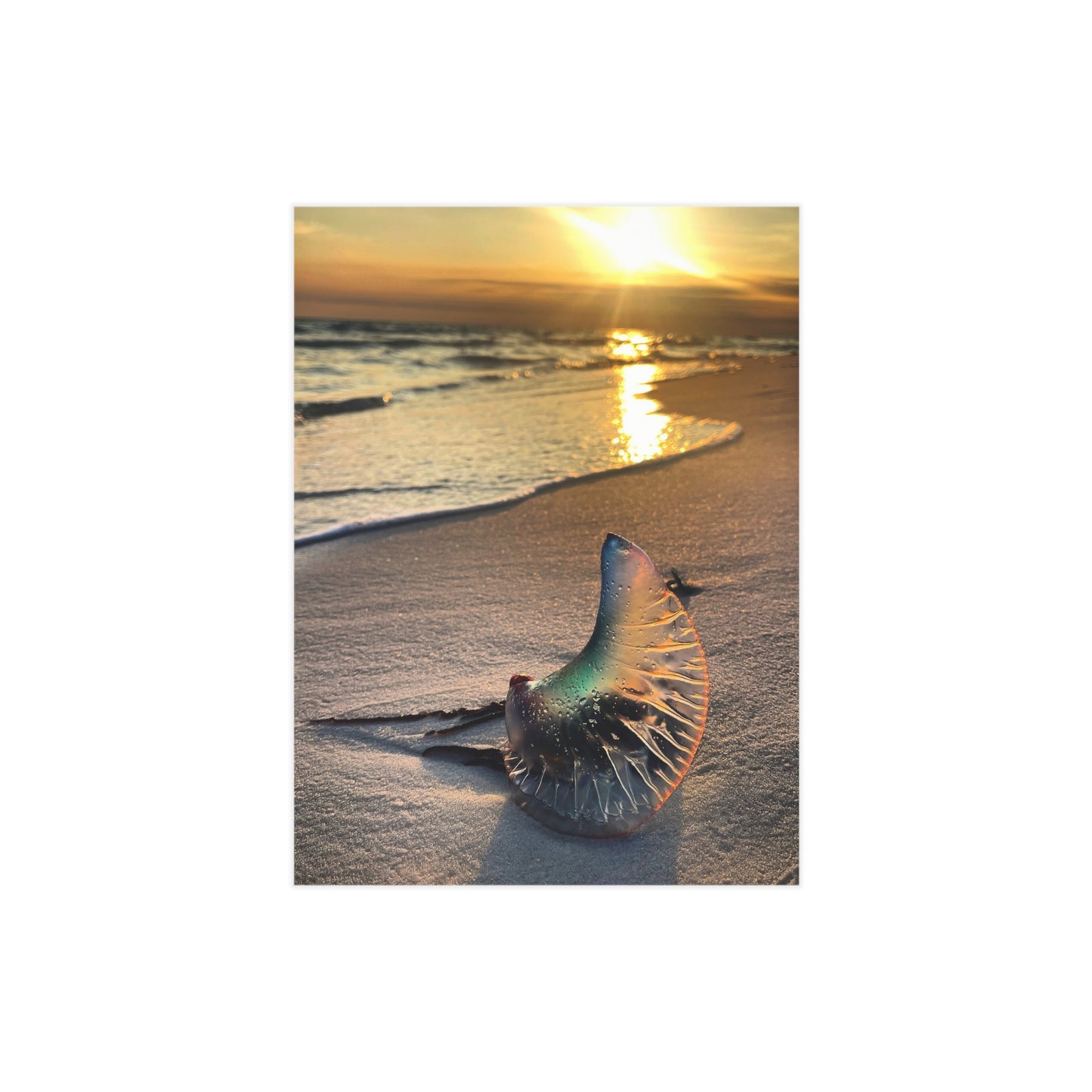The Day The Moon Washed Ashore Paper Print