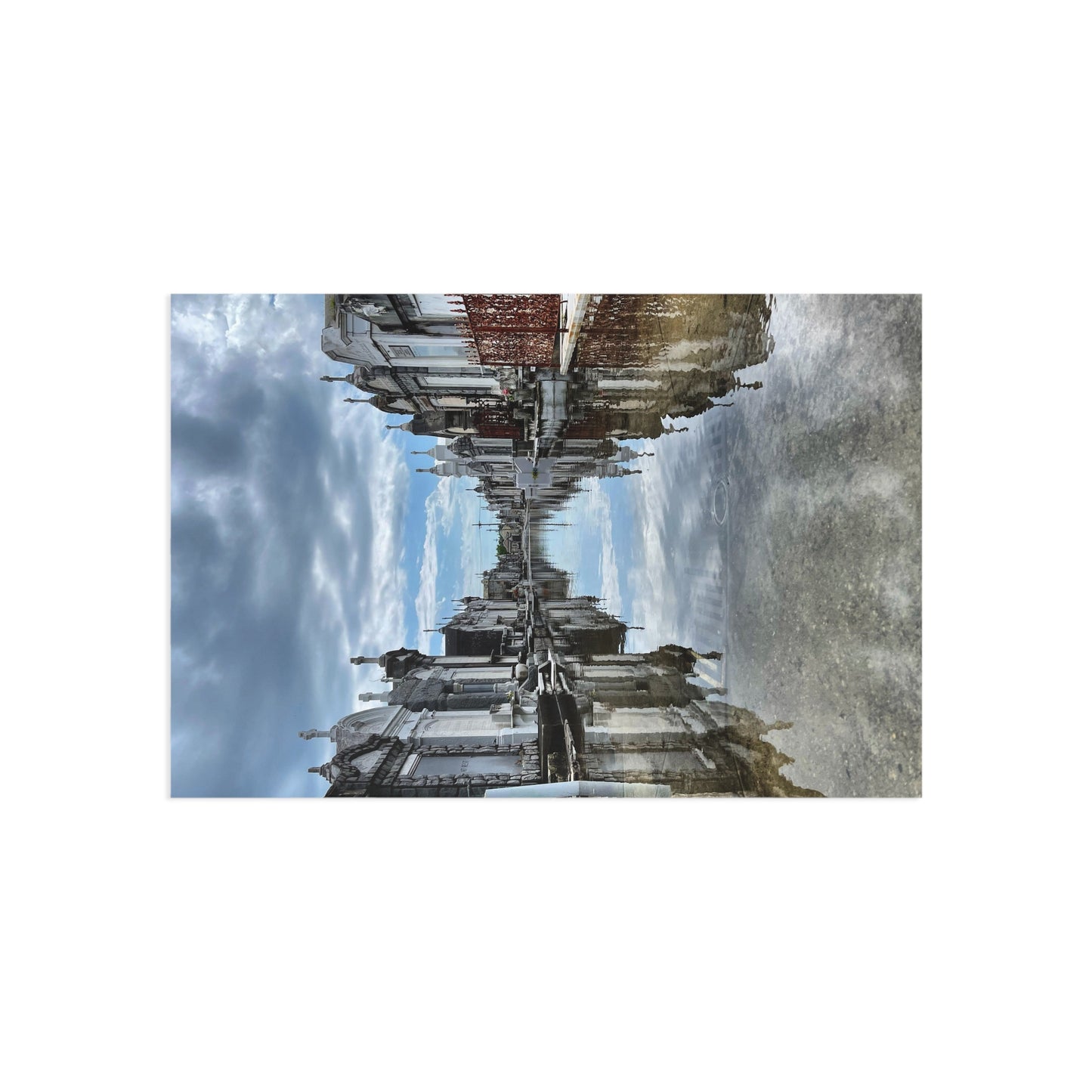 Avenue of Forever Postcard