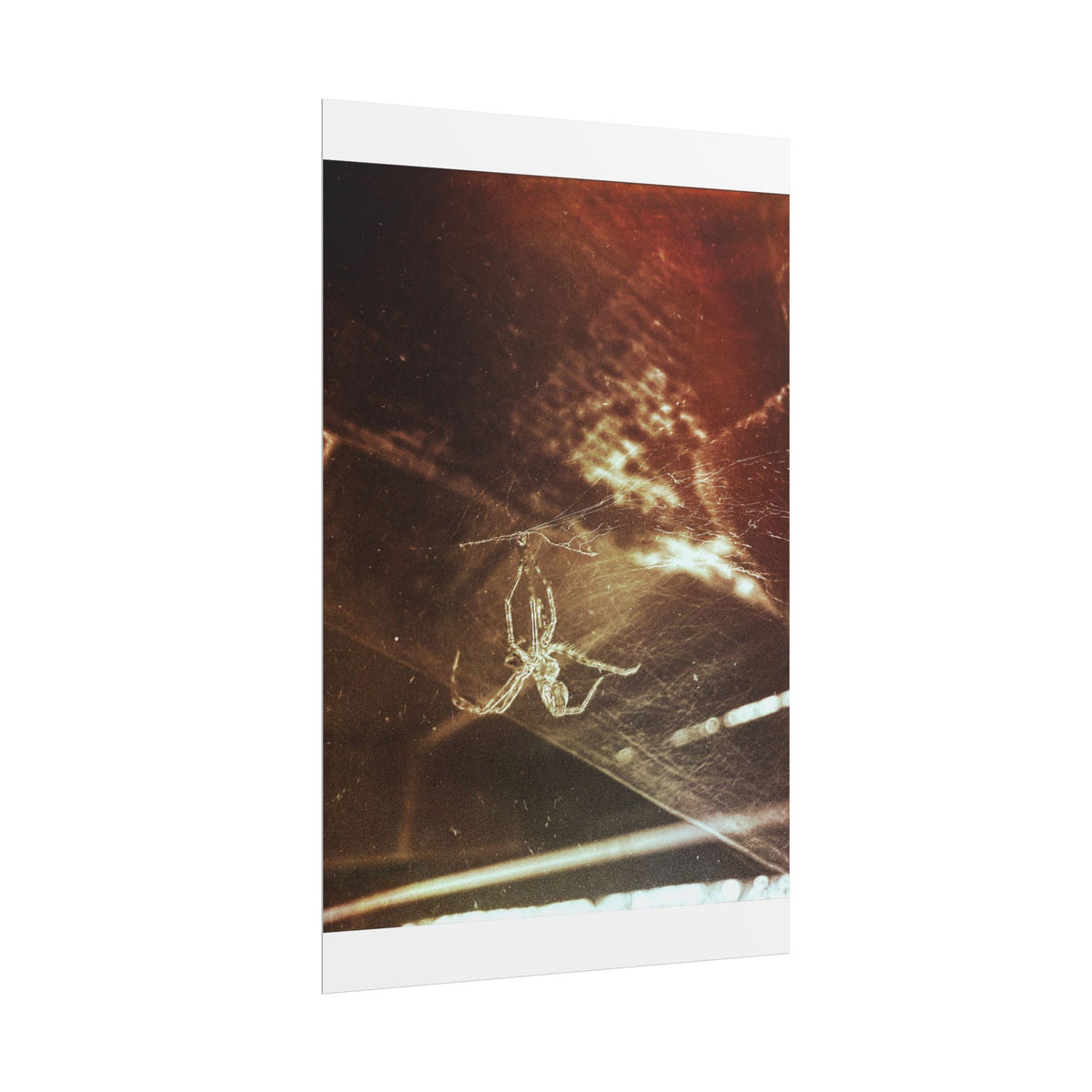 Discarded Nightmare Rolled Posters