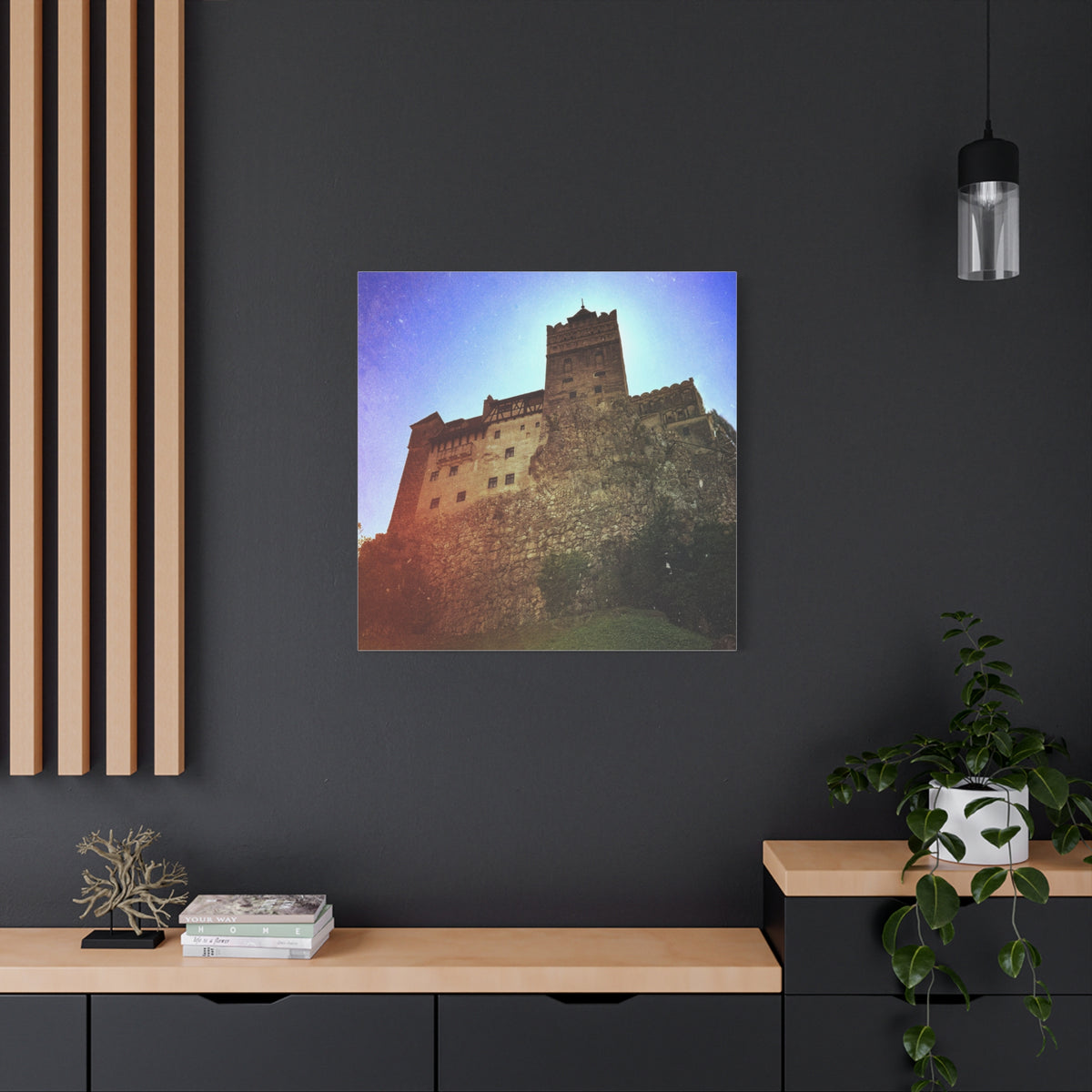 Castle Dracula Matte Canvas, Stretched, 1.25"