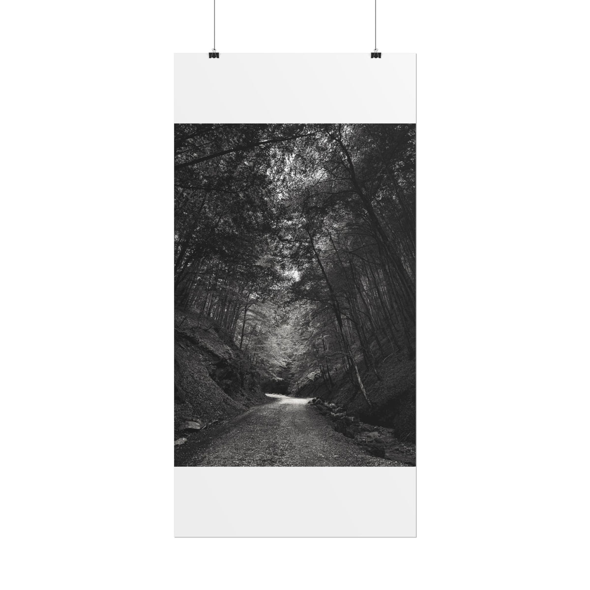 Carpathian Forest Rolled Posters