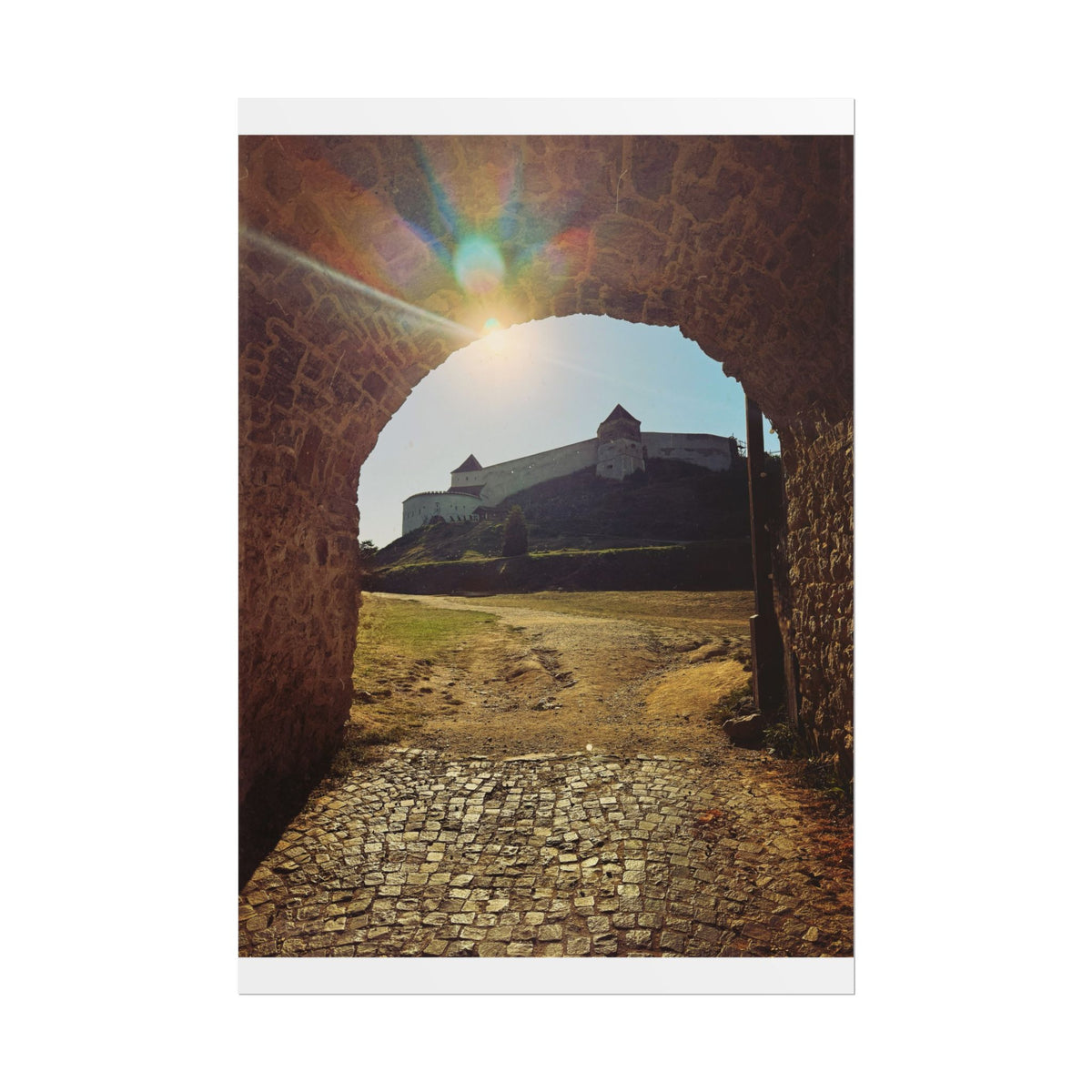 Rasnov Fortress Rolled Posters