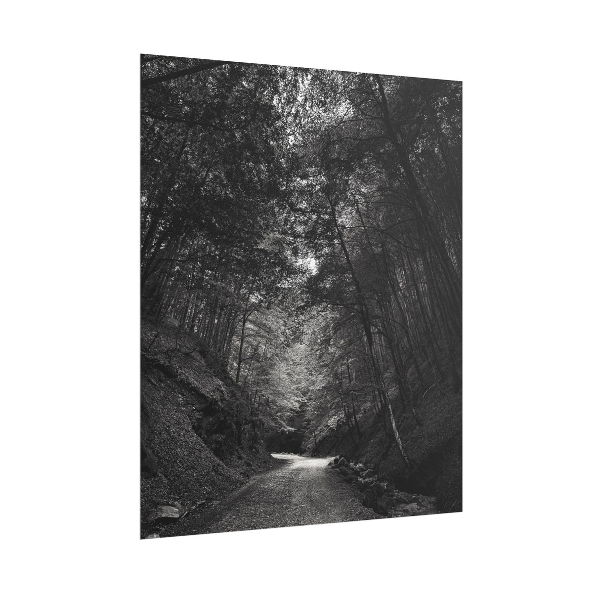 Carpathian Forest Rolled Posters