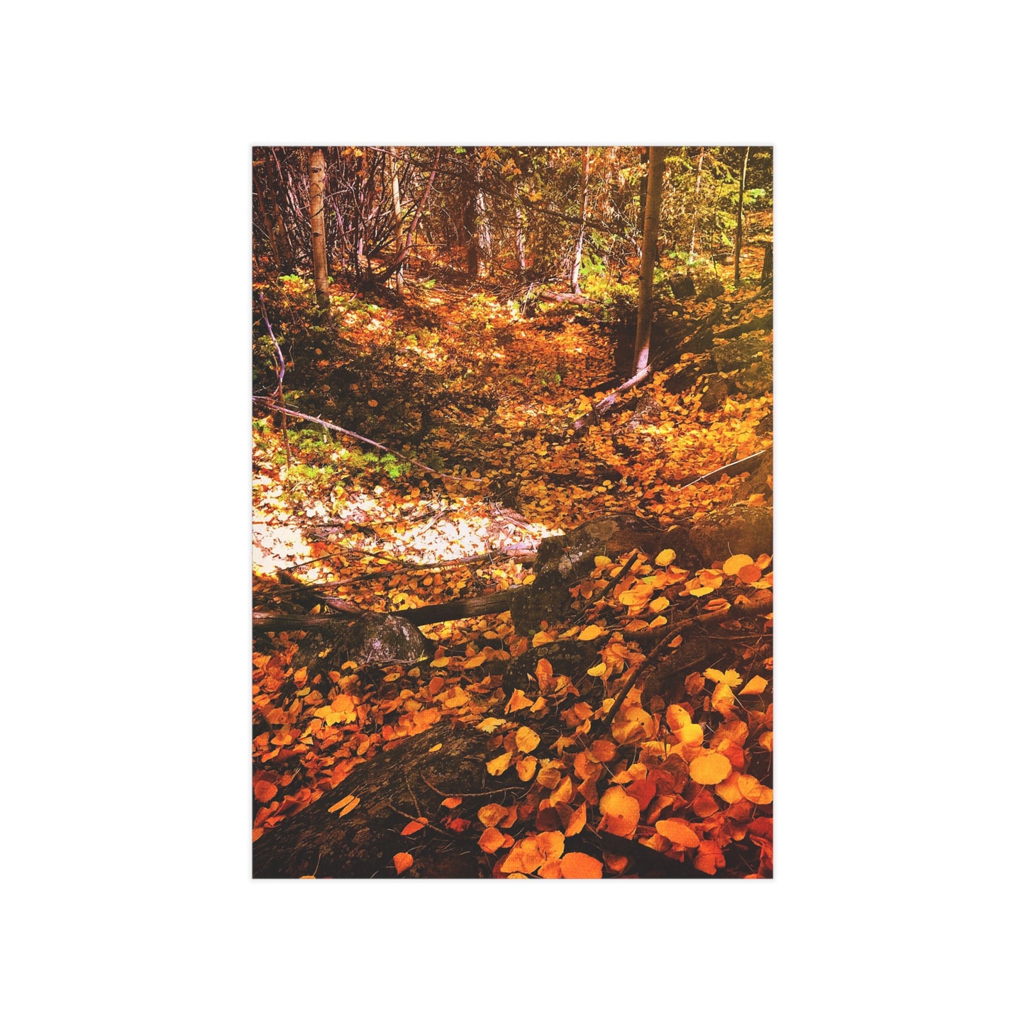 Autumn Gold Paper Print