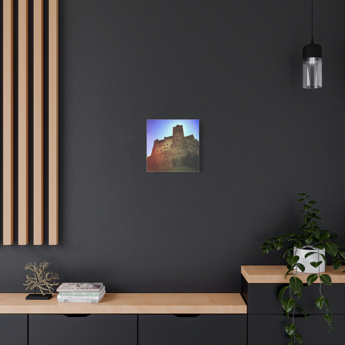 Castle Dracula Matte Canvas, Stretched, 1.25"