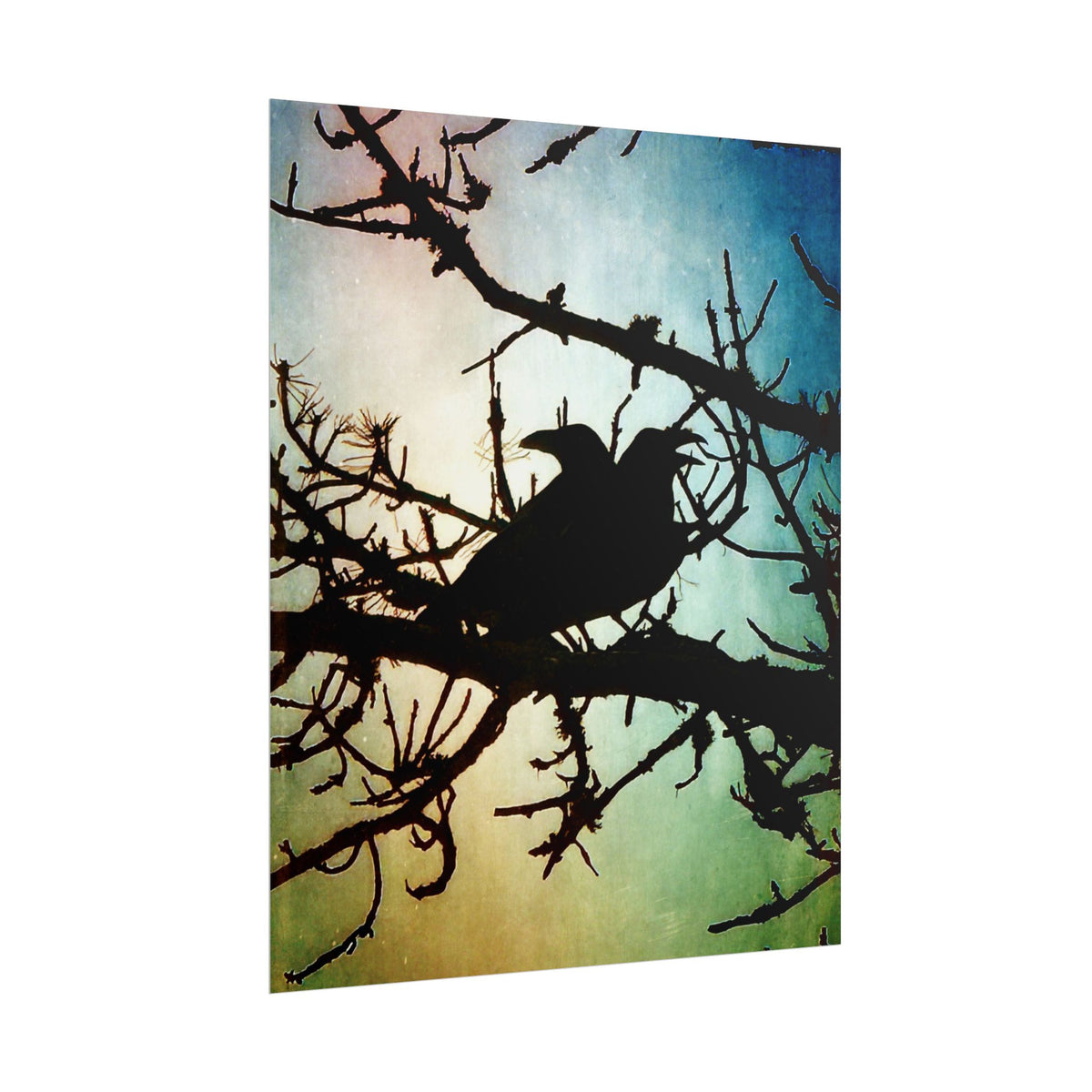 Rolled Posters