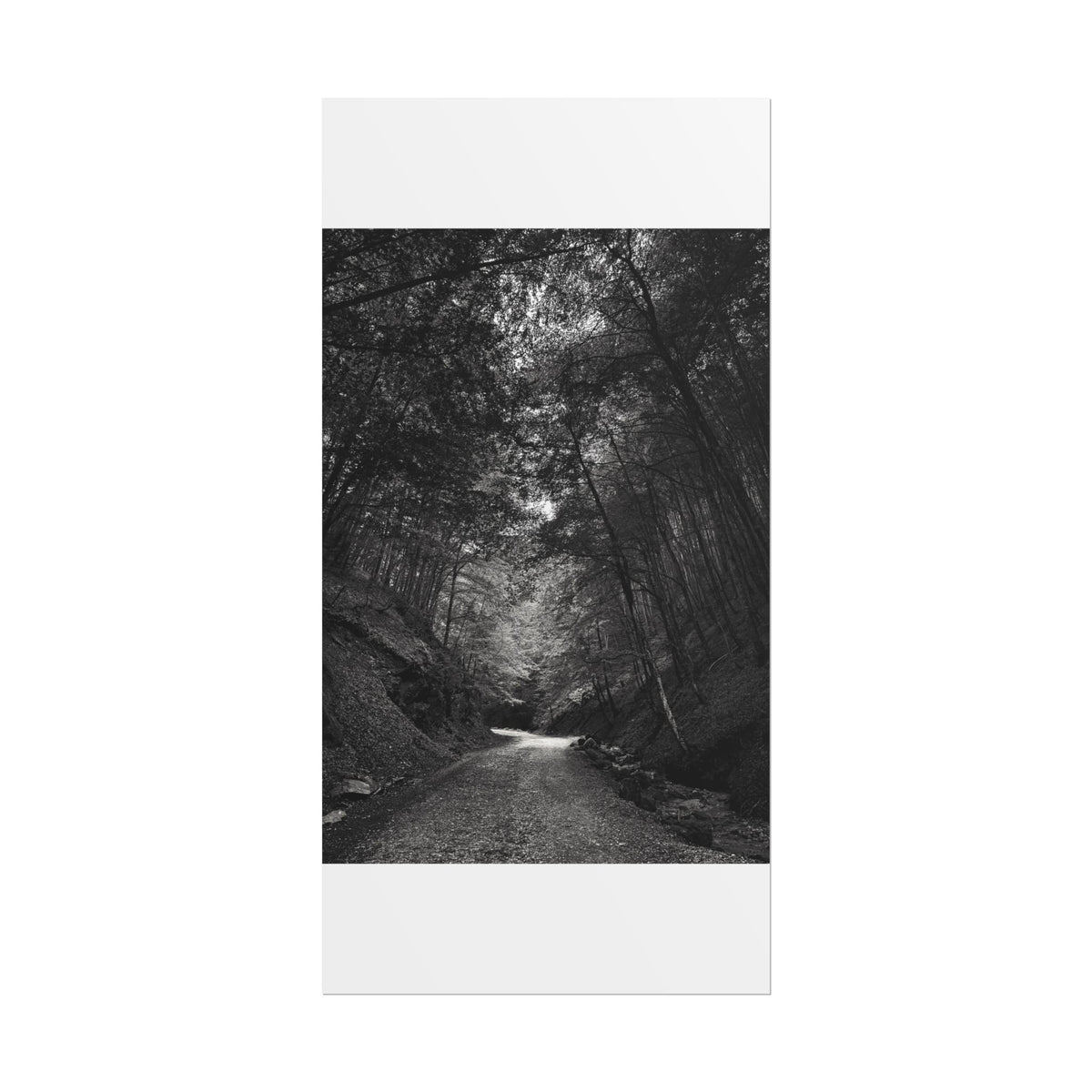 Carpathian Forest Rolled Posters