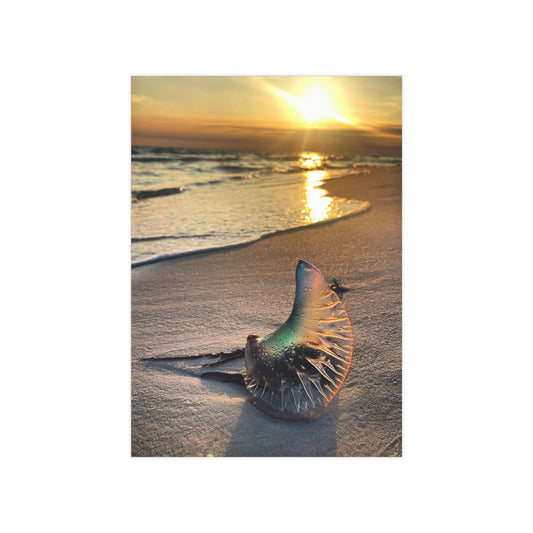 The Day The Moon Washed Ashore Paper Print