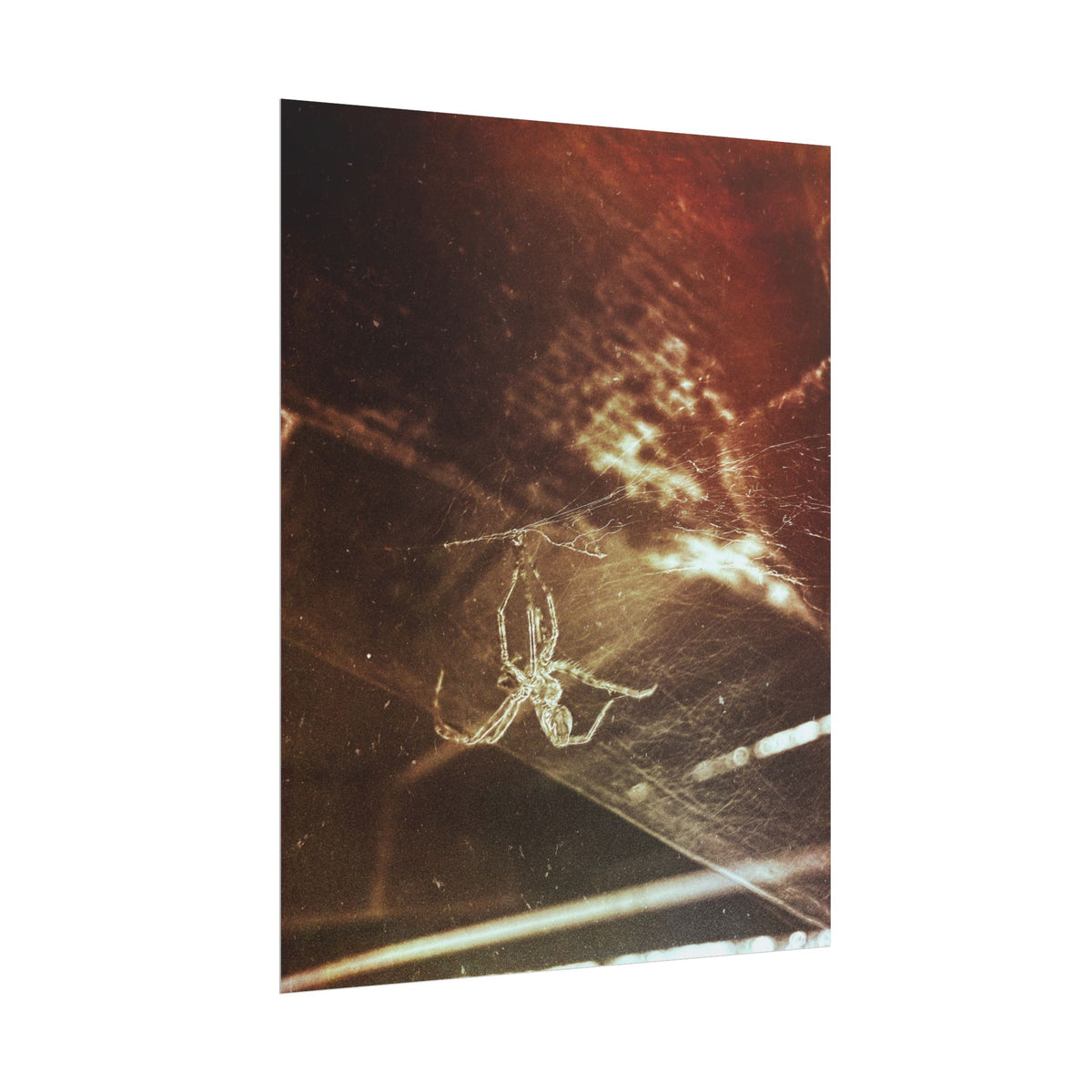 Discarded Nightmare Rolled Posters