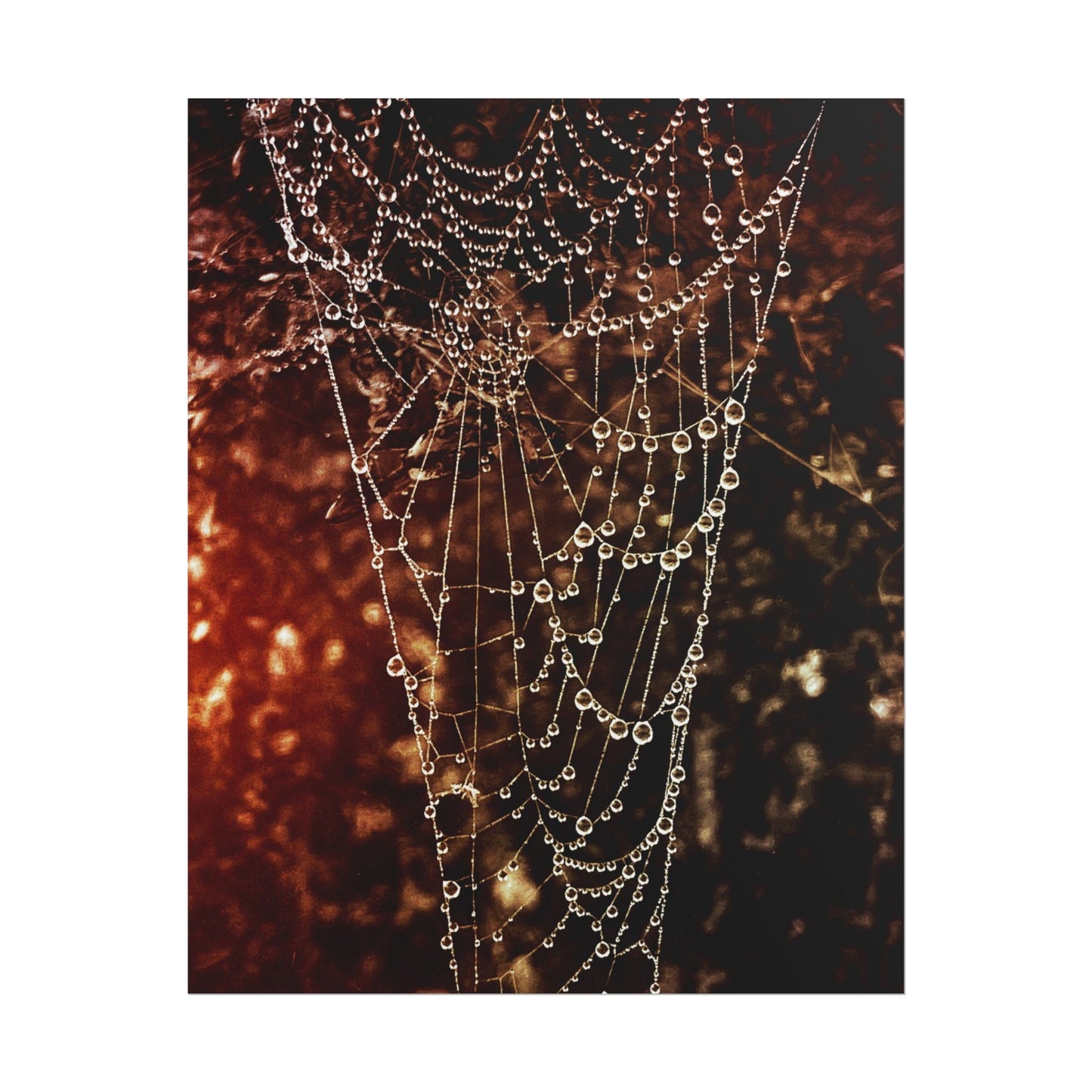 Jewels of Dawn V.2 Rolled Poster