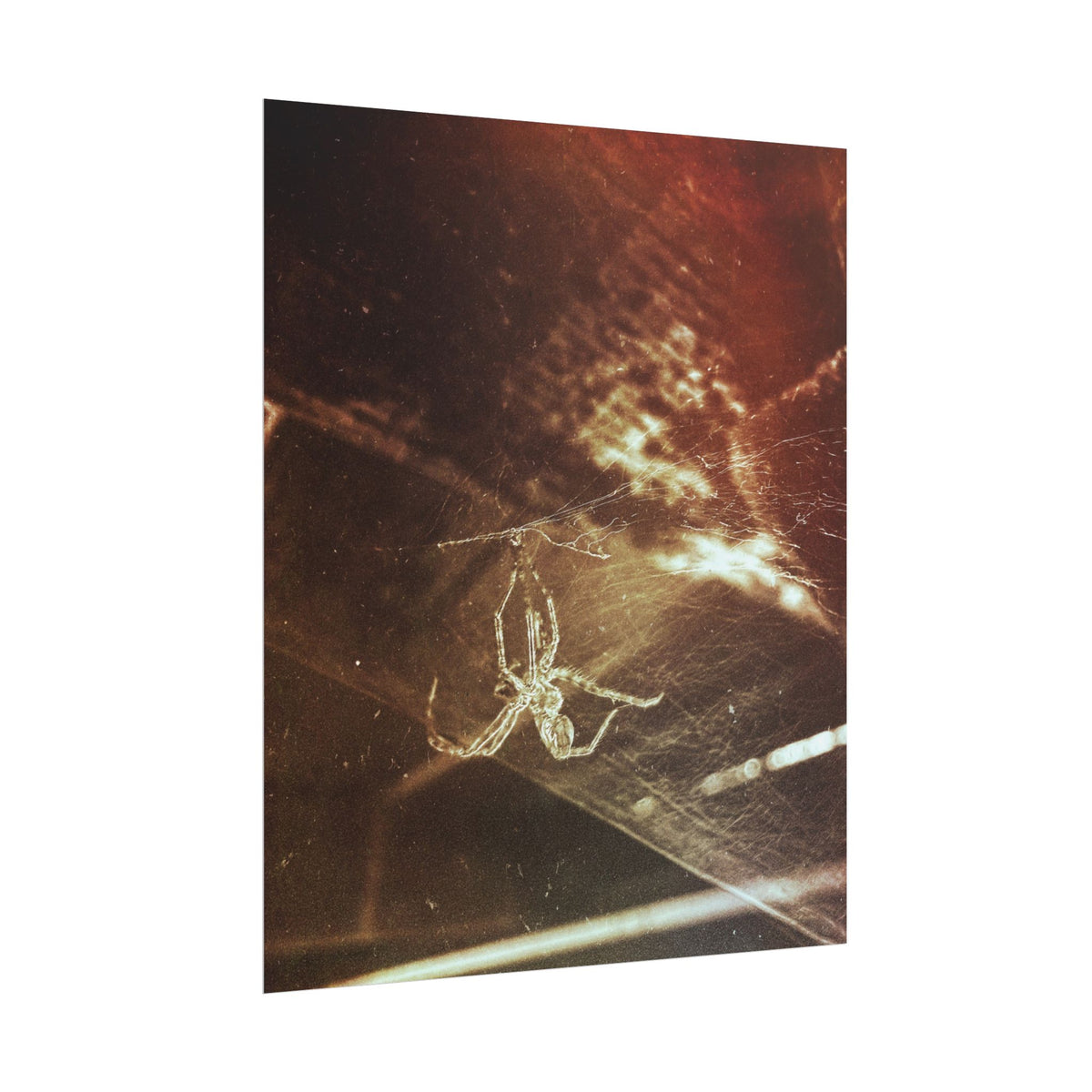 Discarded Nightmare Rolled Posters