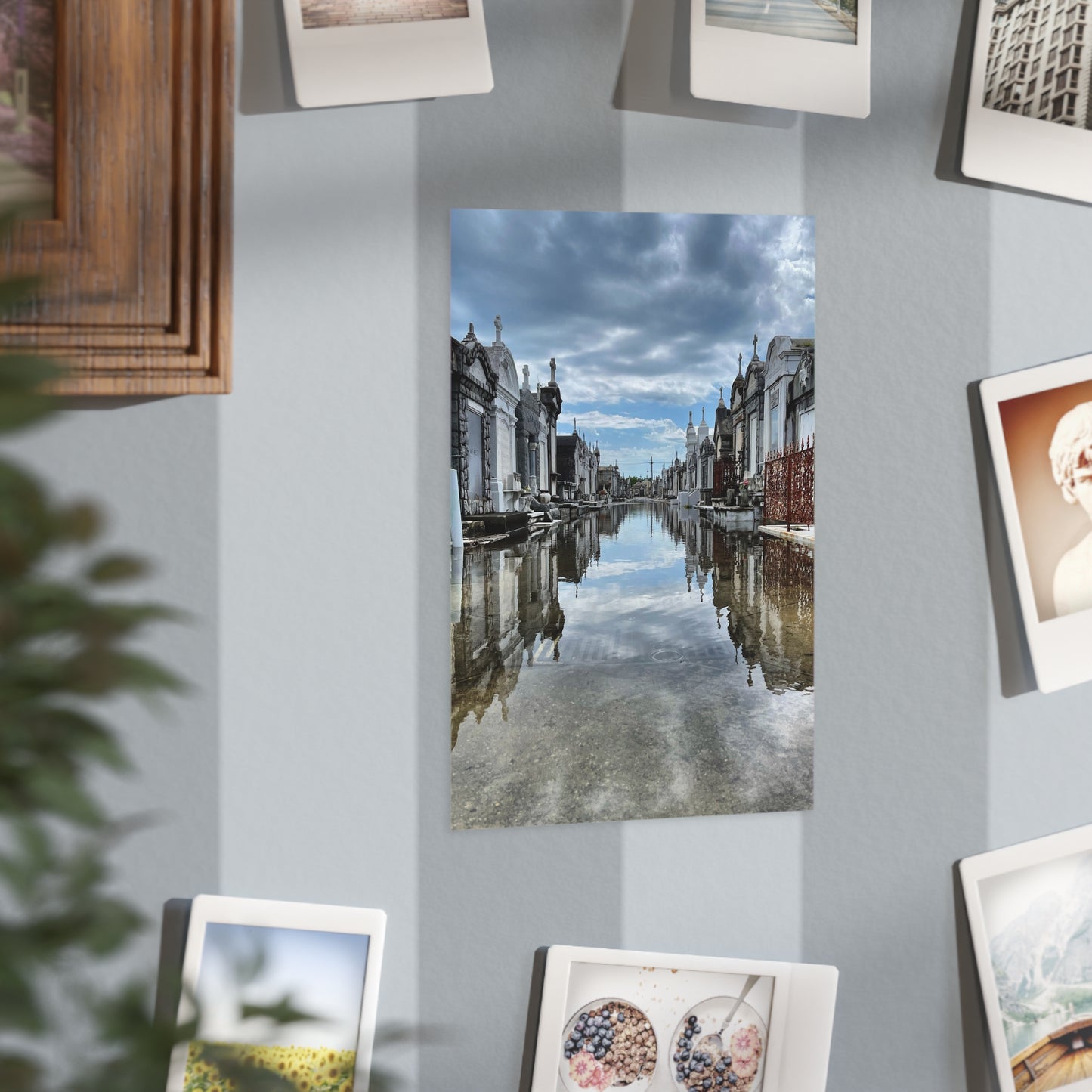 Avenue of Forever Paper Print