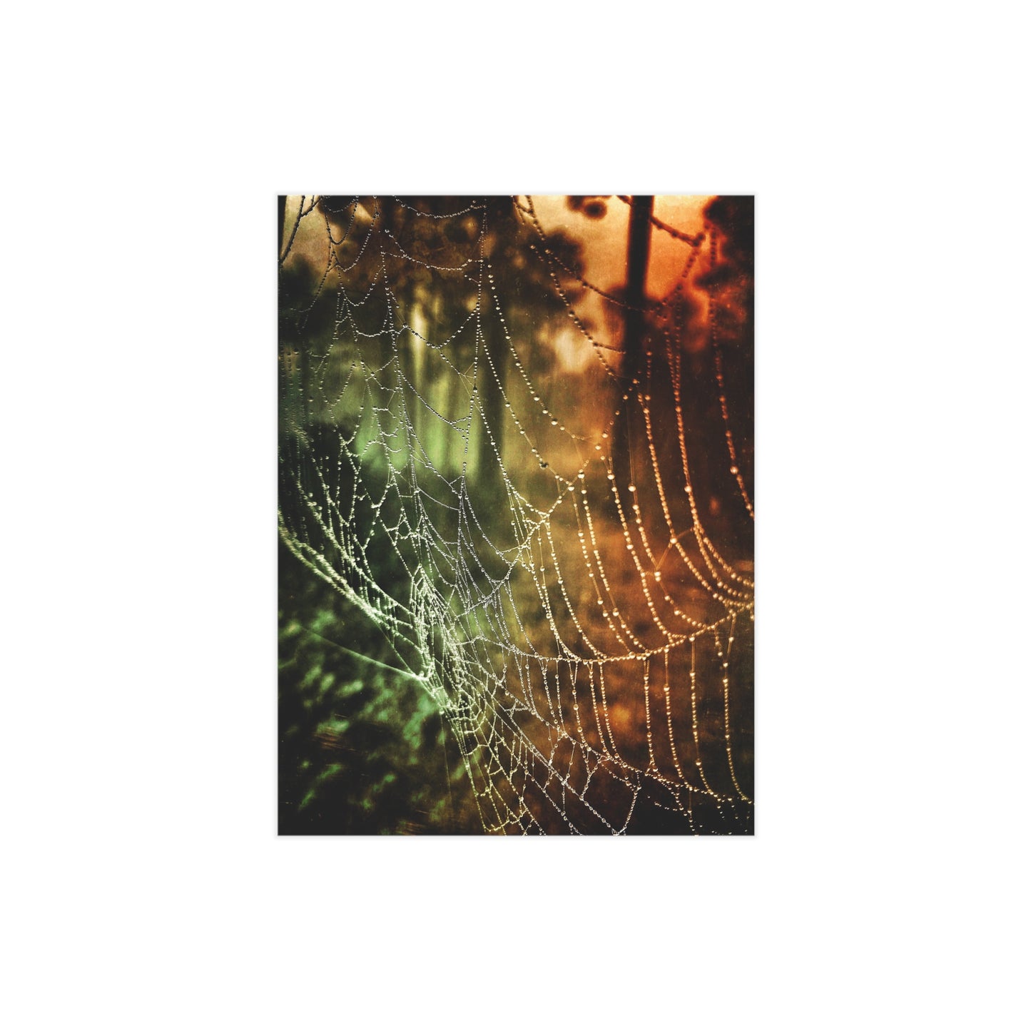 Tears of Dawn Paper Print