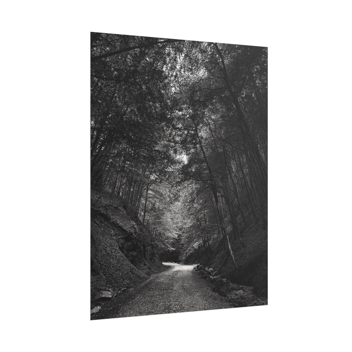 Carpathian Forest Rolled Posters