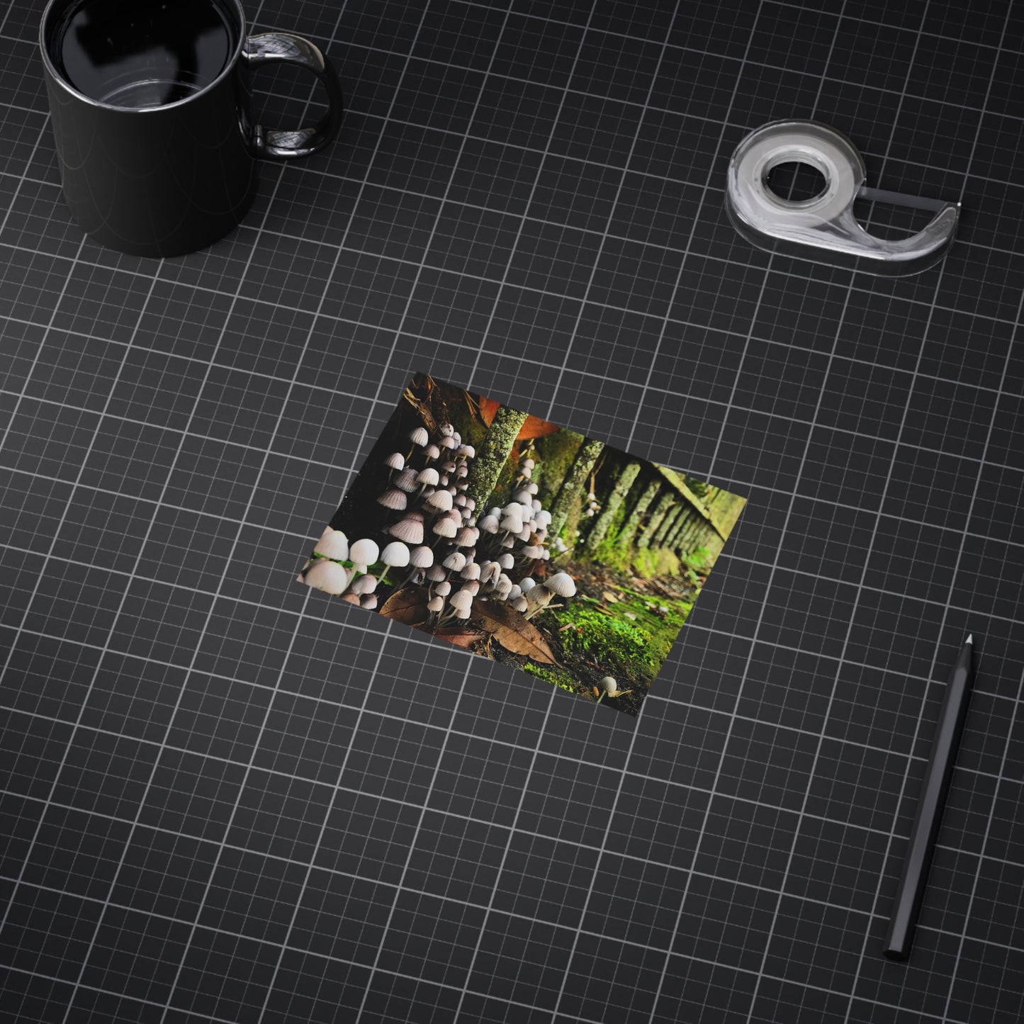 The Kingdom Paper Print