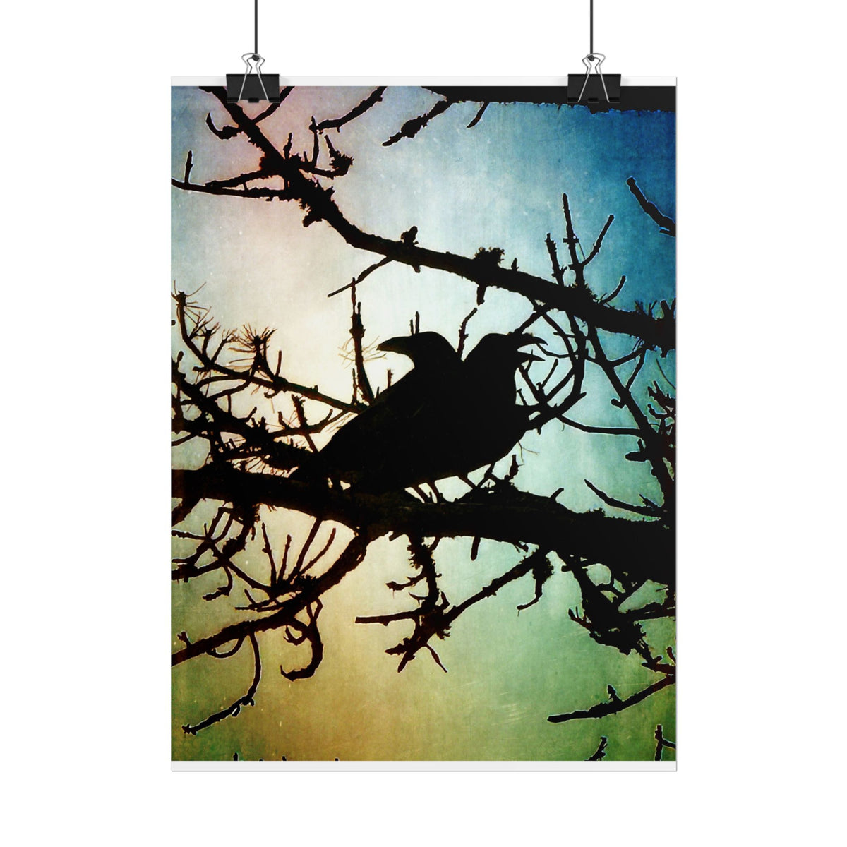 Rolled Posters