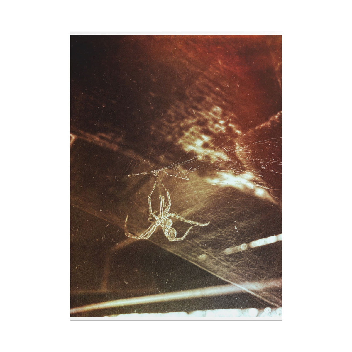 Discarded Nightmare Rolled Posters