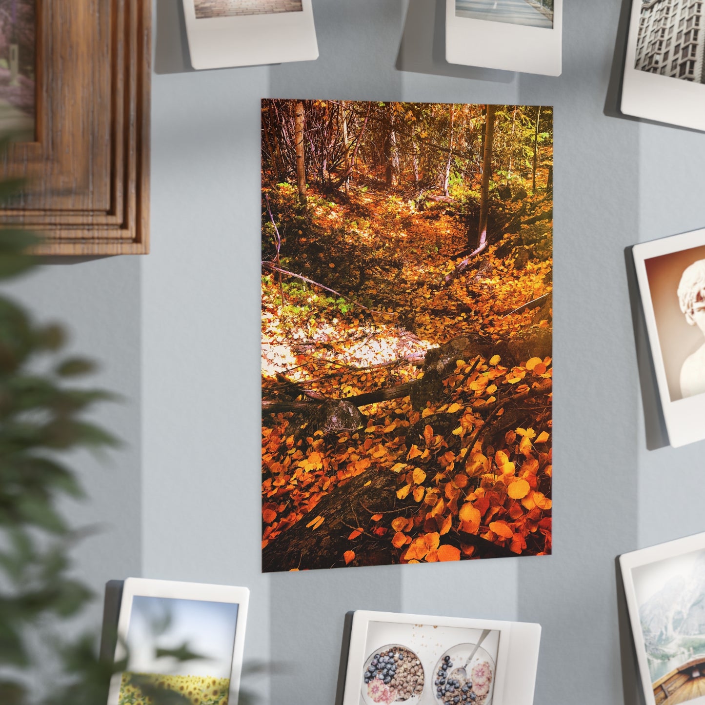 Autumn Gold Paper Print