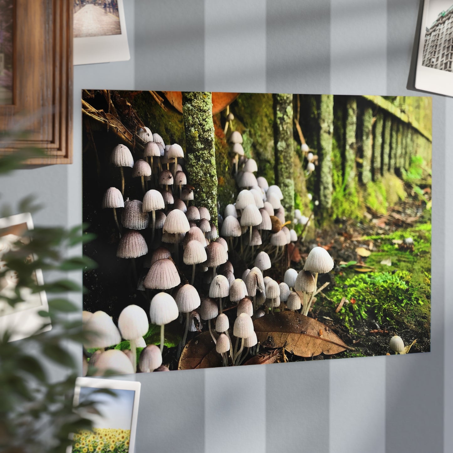 The Kingdom Paper Print