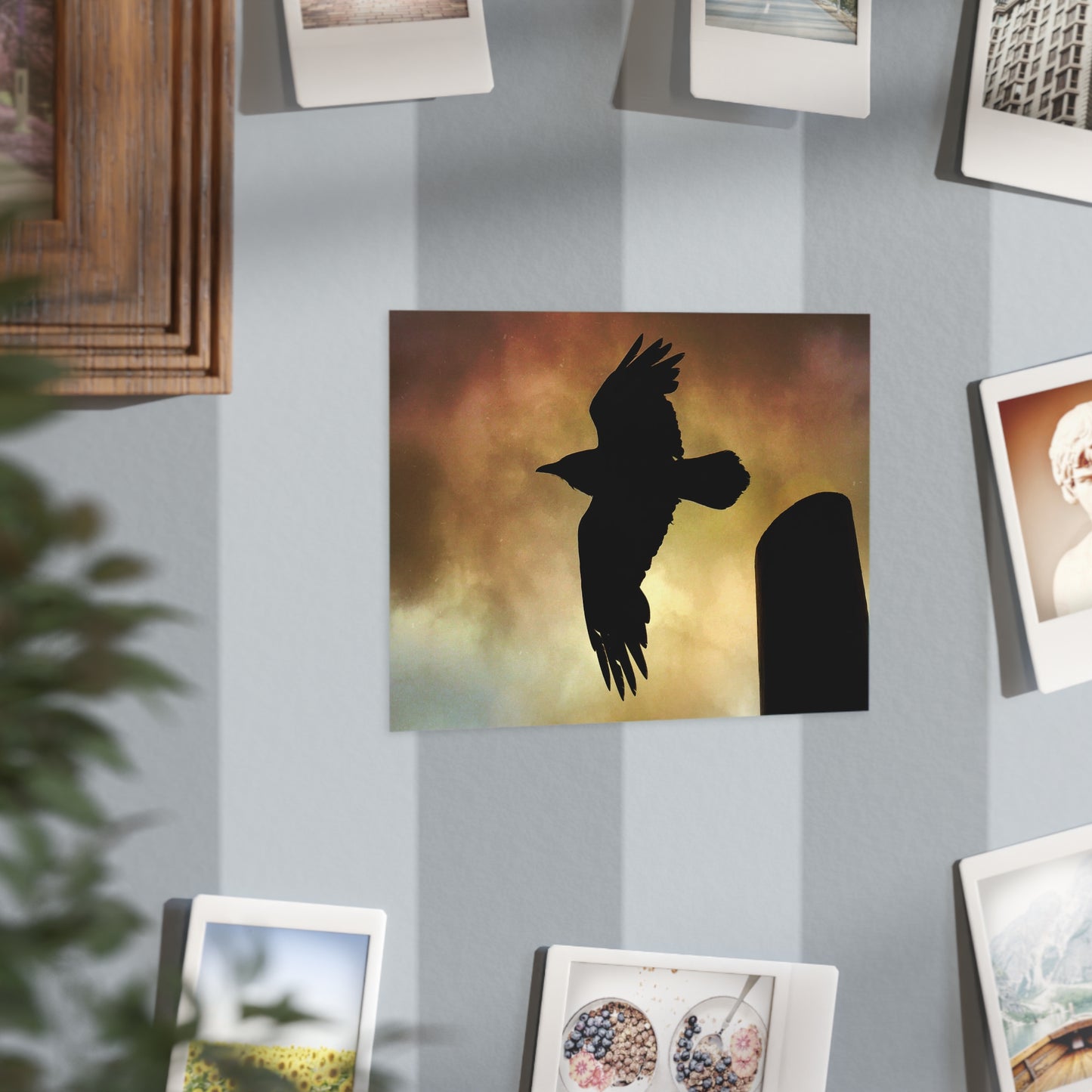 Guardian Awakens Paper Print