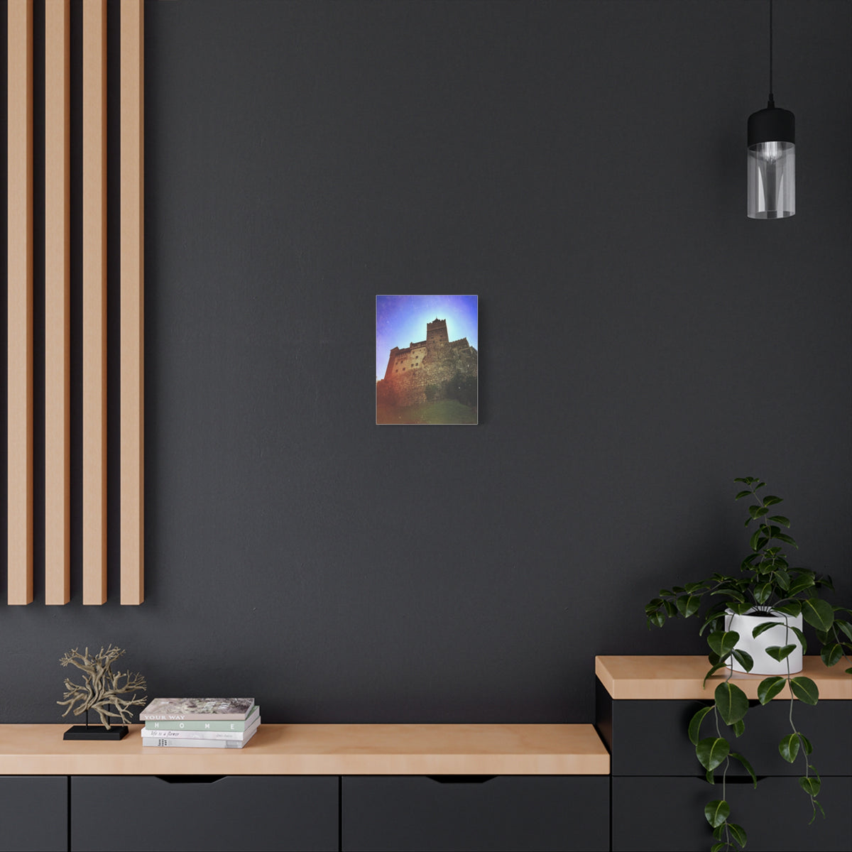 Castle Dracula Matte Canvas, Stretched, 1.25"