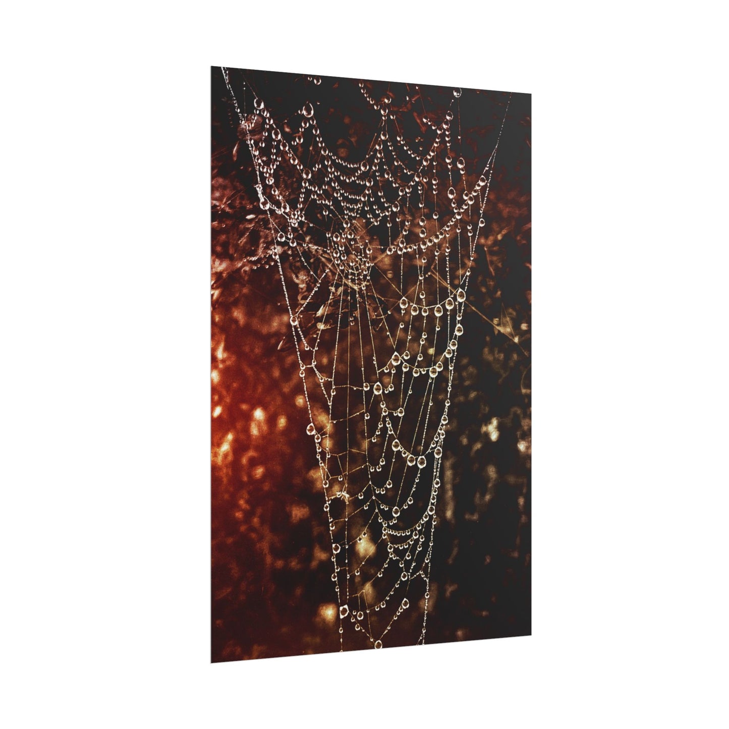 Jewels of Dawn V.2 Rolled Poster