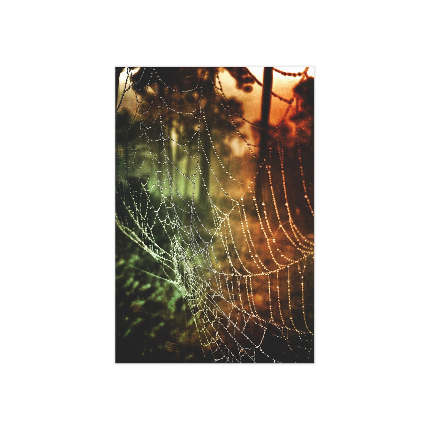 Tears of Dawn Paper Print