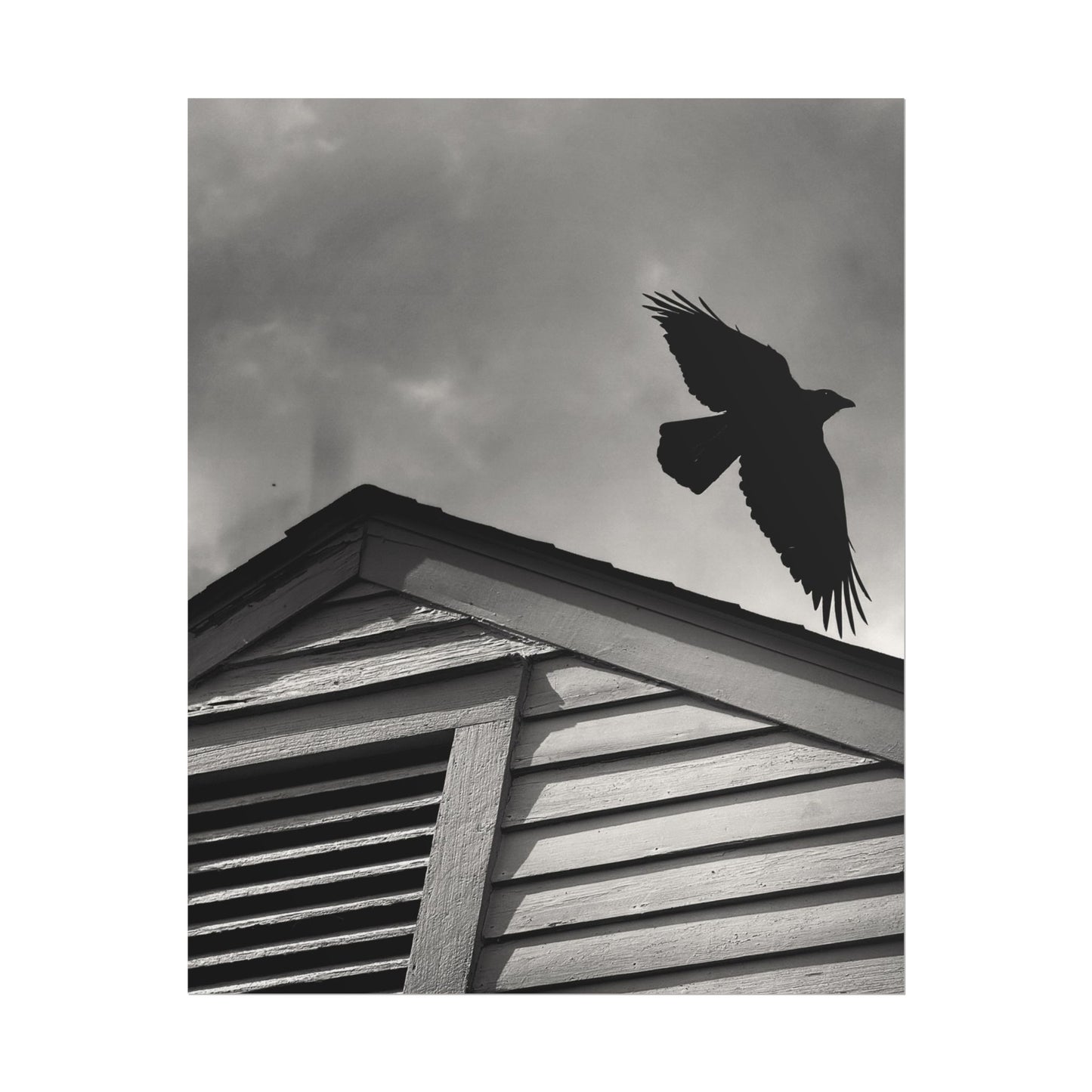 The Guardian At Dawn Rolled Poster