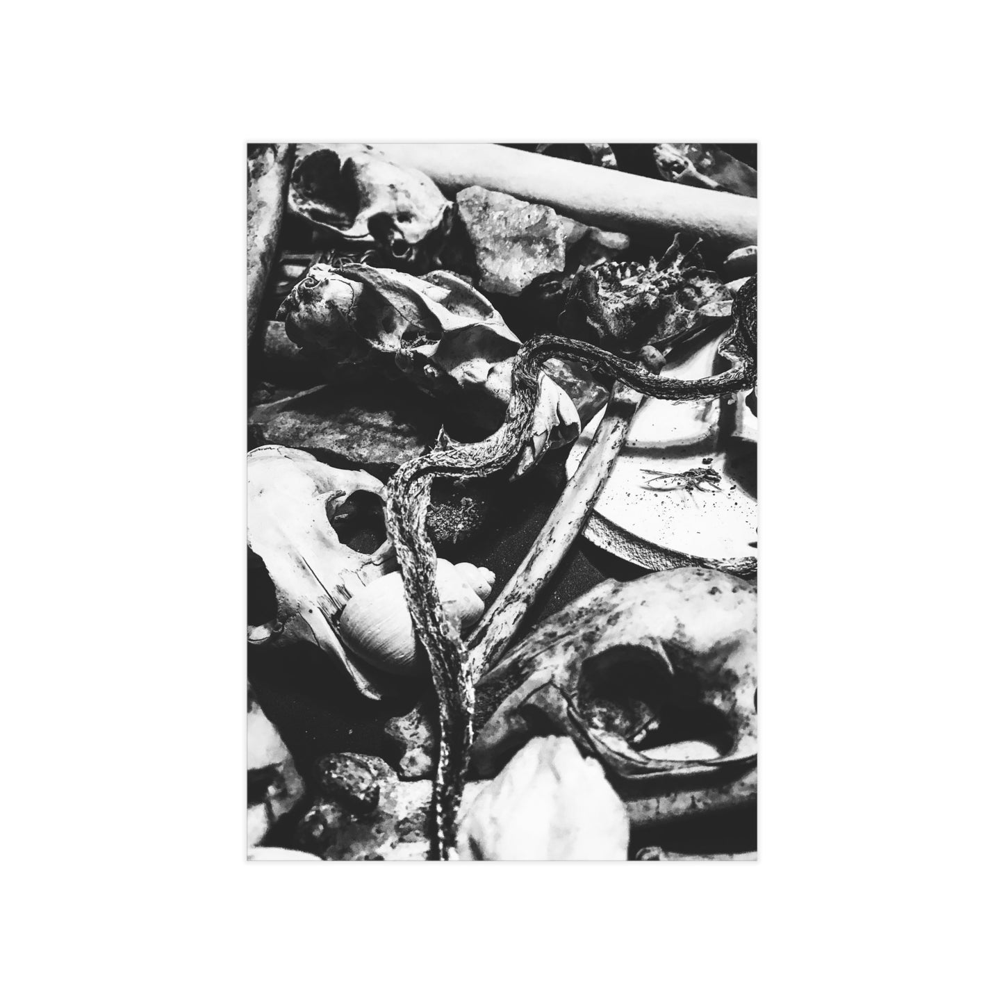 Them Bones Paper Print