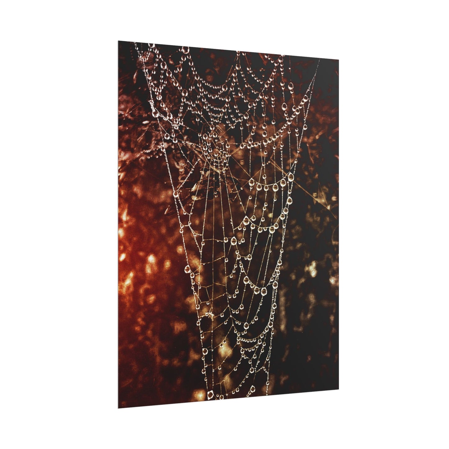 Jewels of Dawn V.2 Rolled Poster