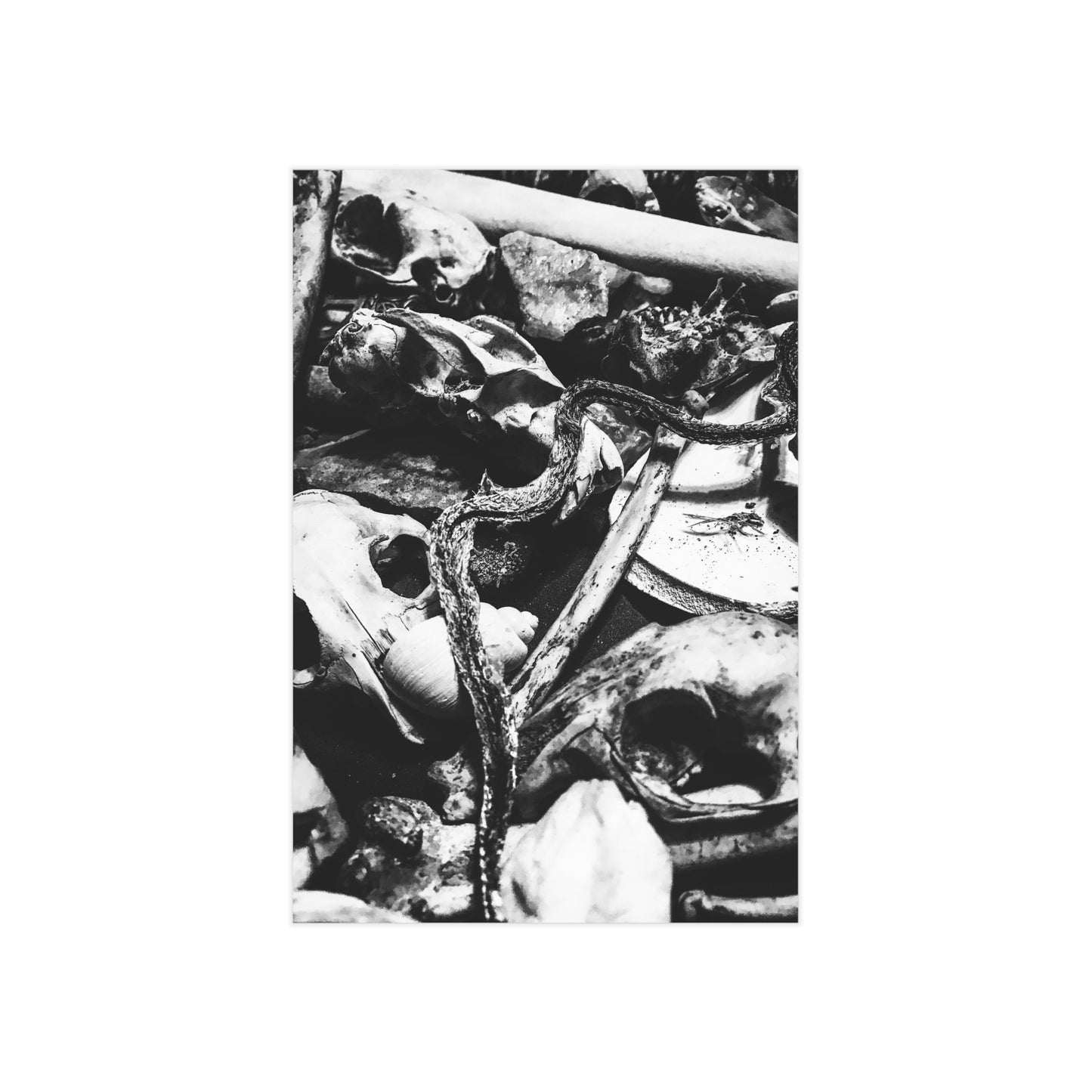 Them Bones Paper Print
