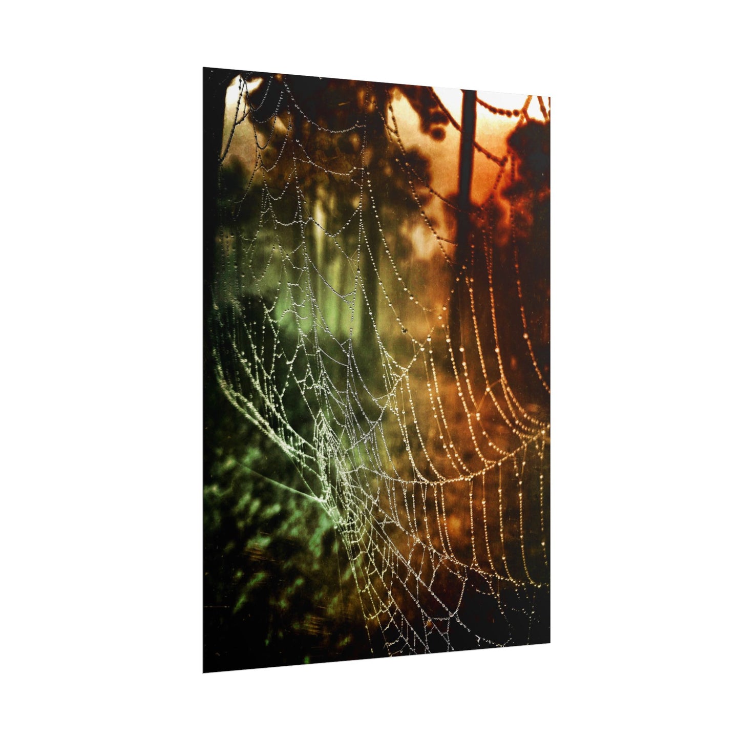 Tears of Dawn (V.2) Rolled Poster
