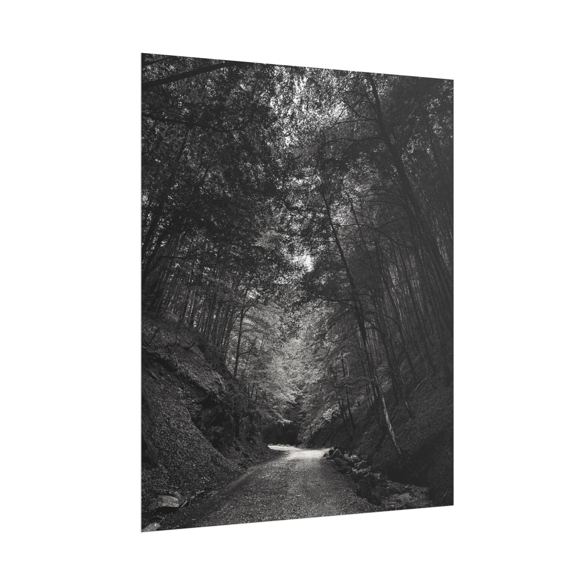 Carpathian Forest Rolled Posters