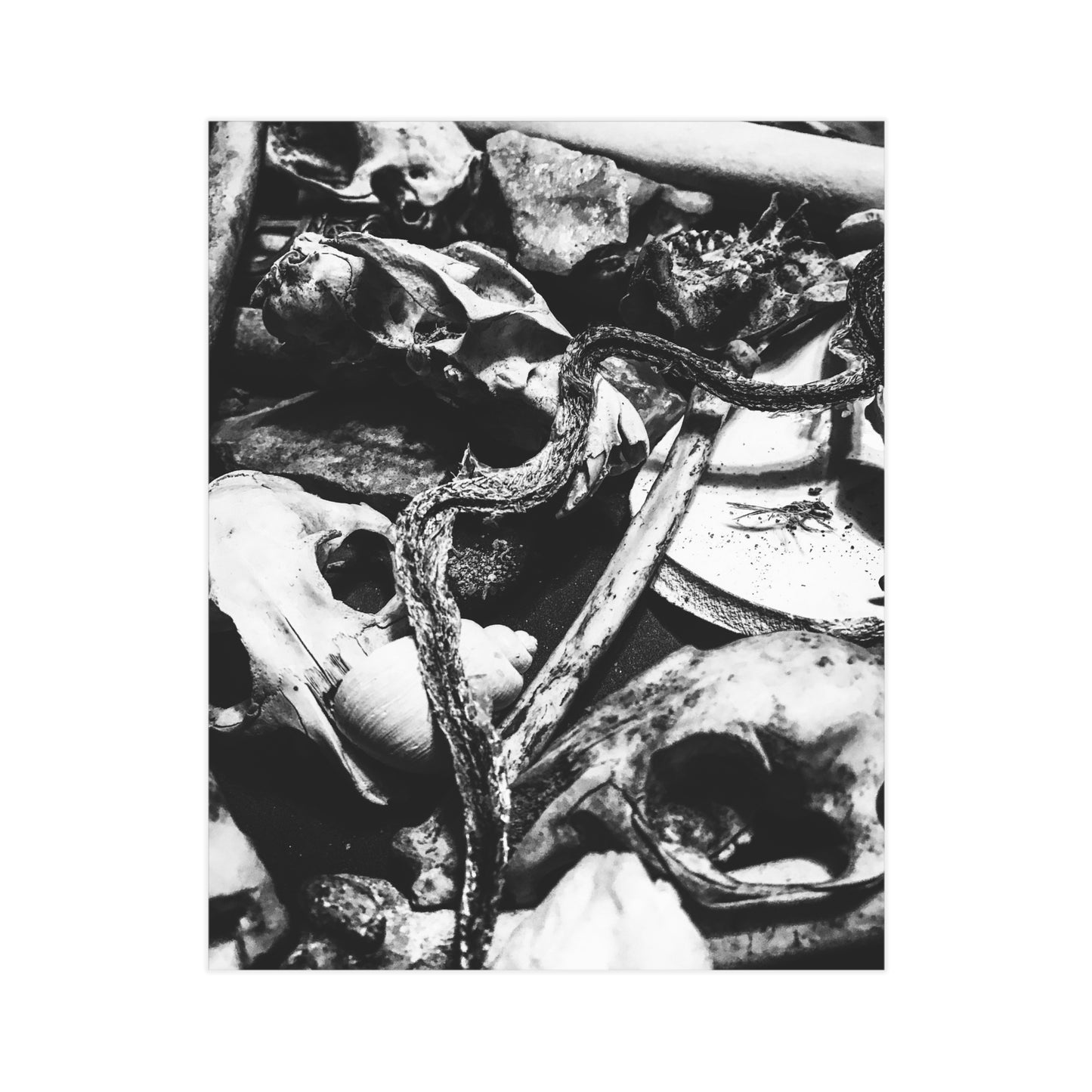 Them Bones Paper Print
