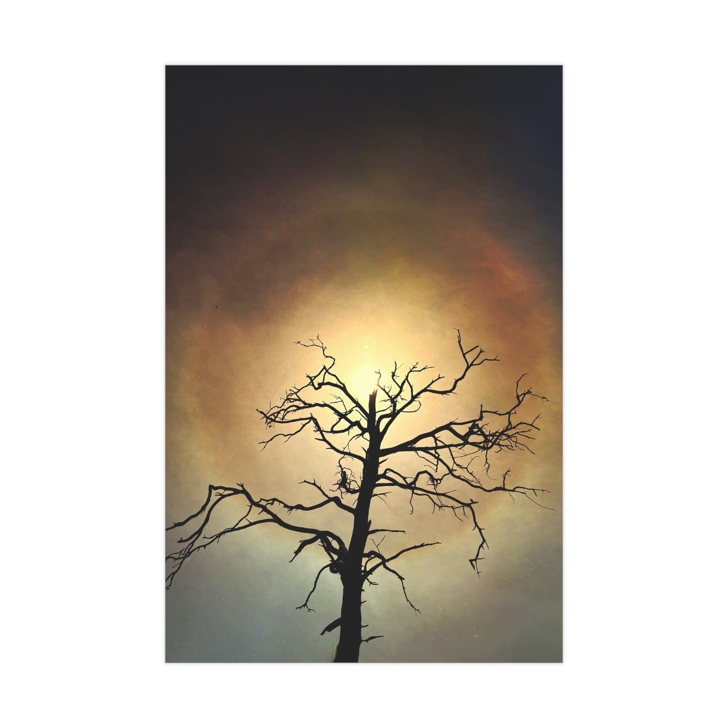 The Eye Opens Paper Print
