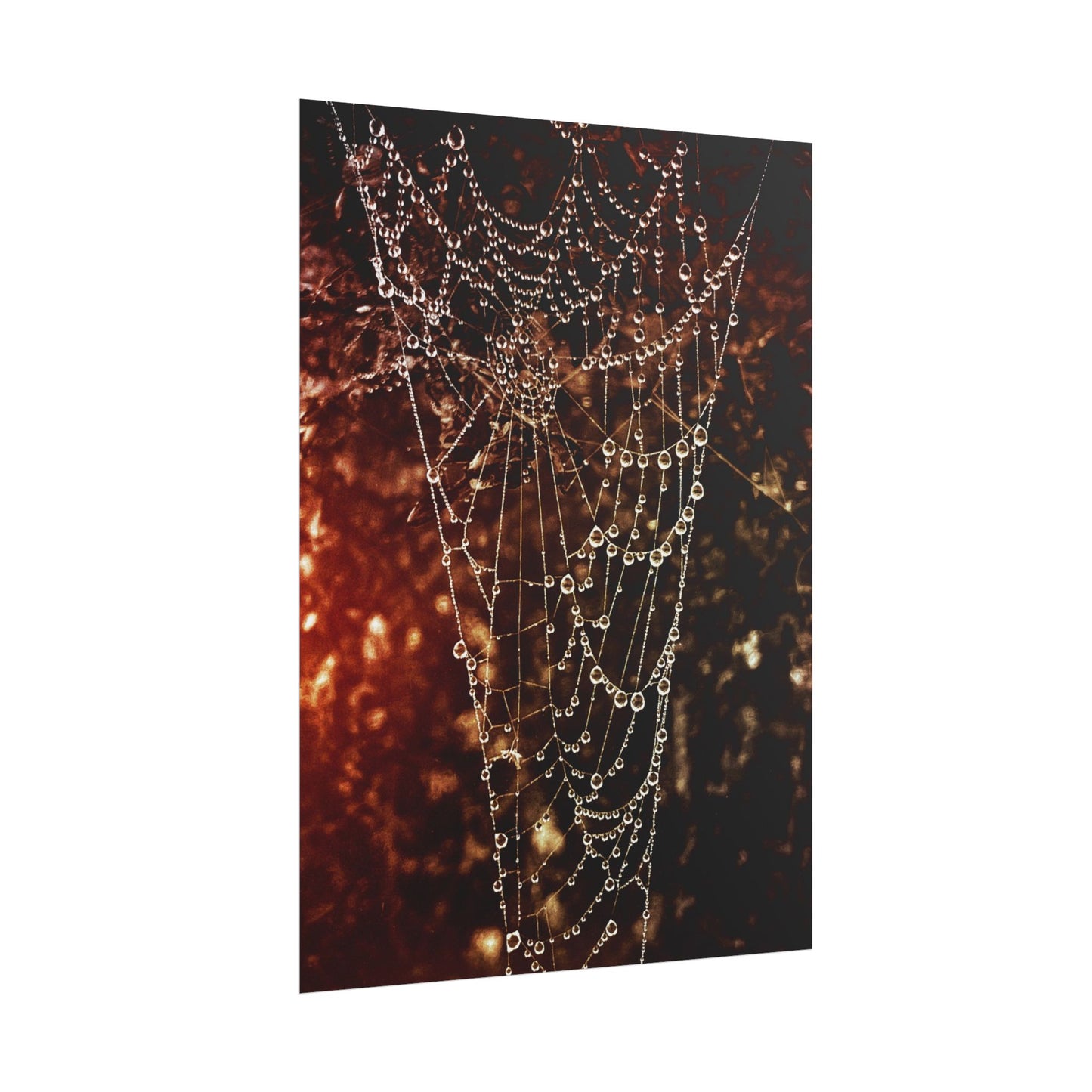 Jewels of Dawn V.2 Rolled Poster