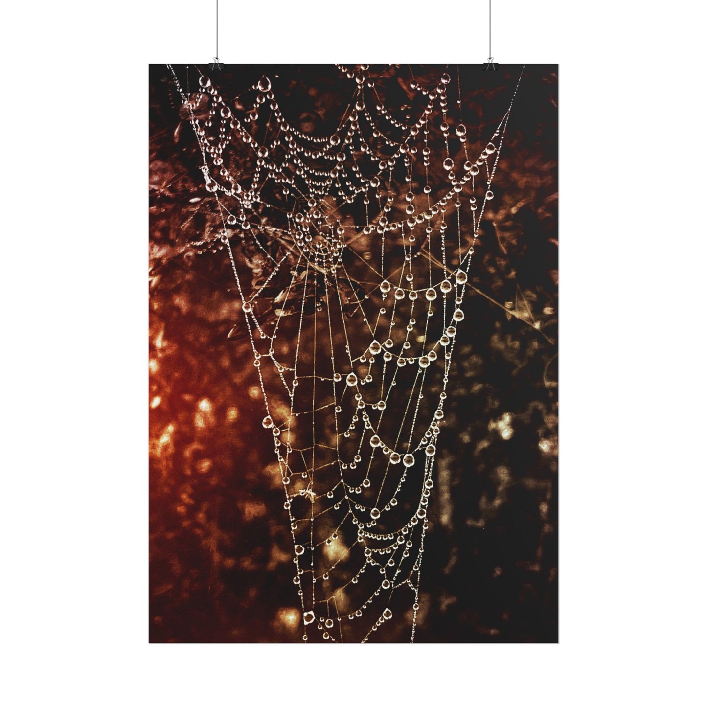 Jewels of Dawn V.2 Rolled Poster