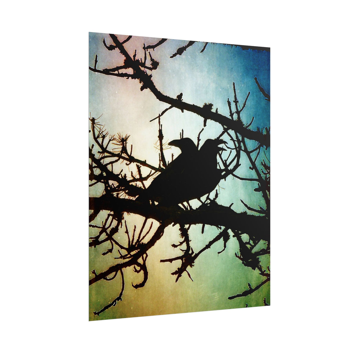 Rolled Posters