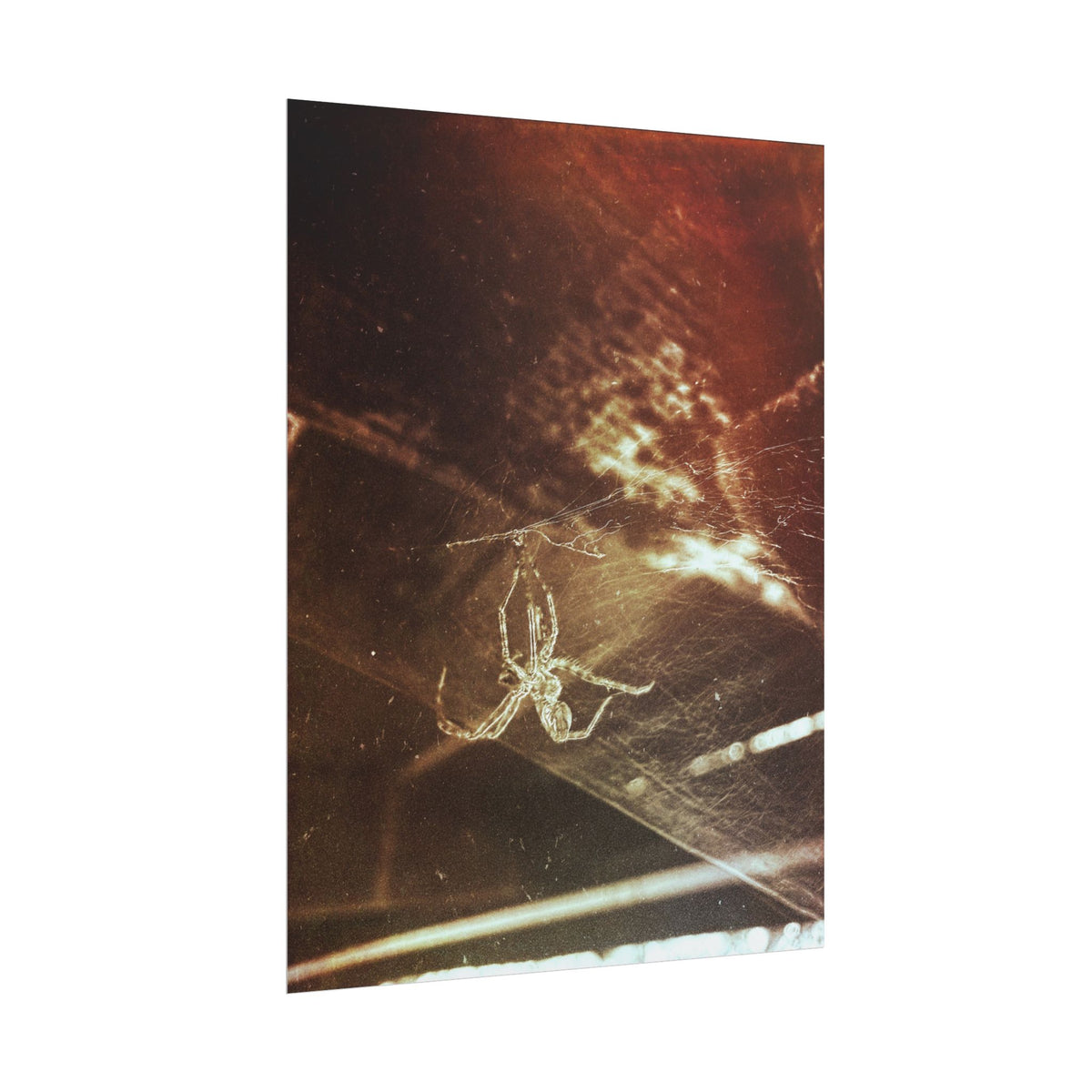 Discarded Nightmare Rolled Posters