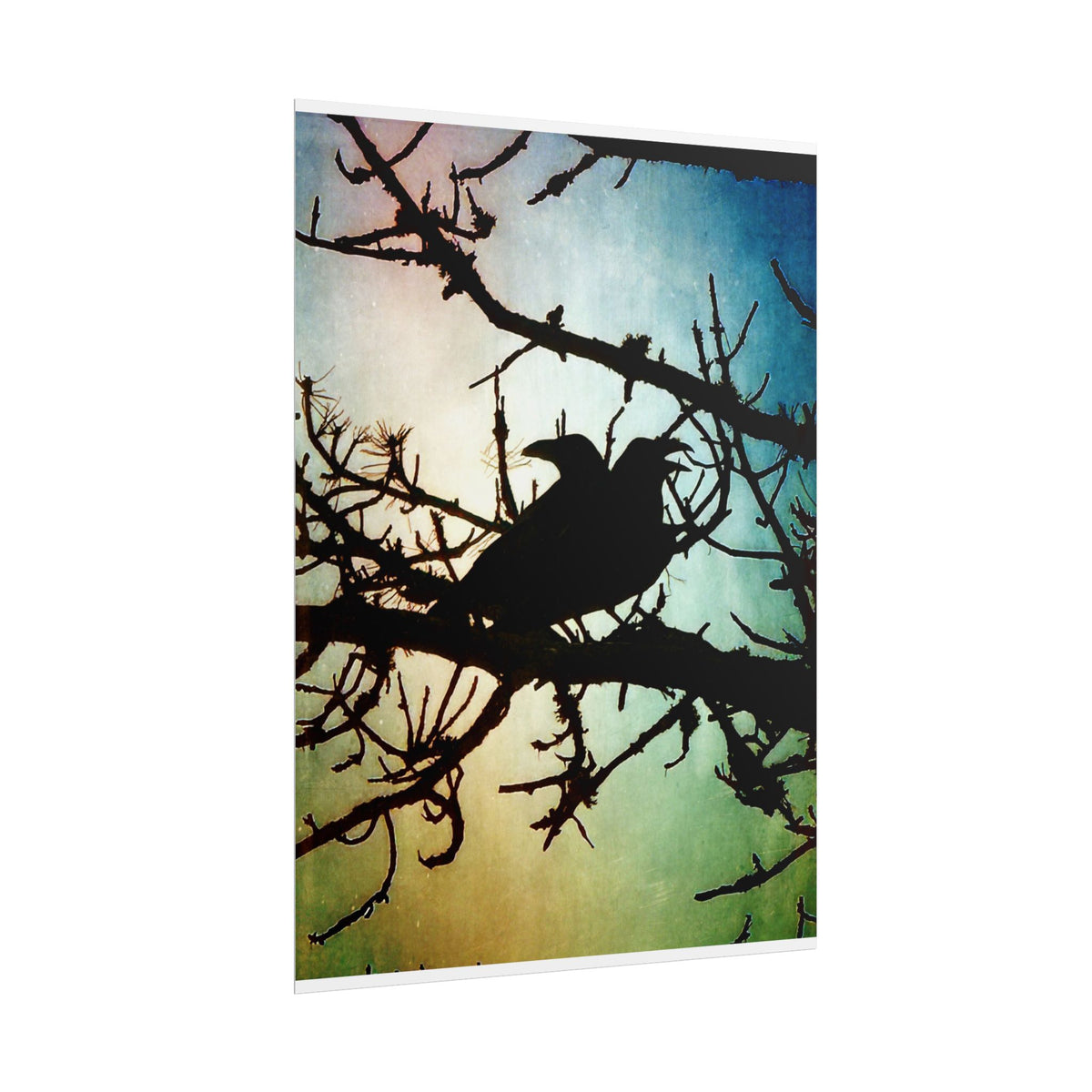 Rolled Posters