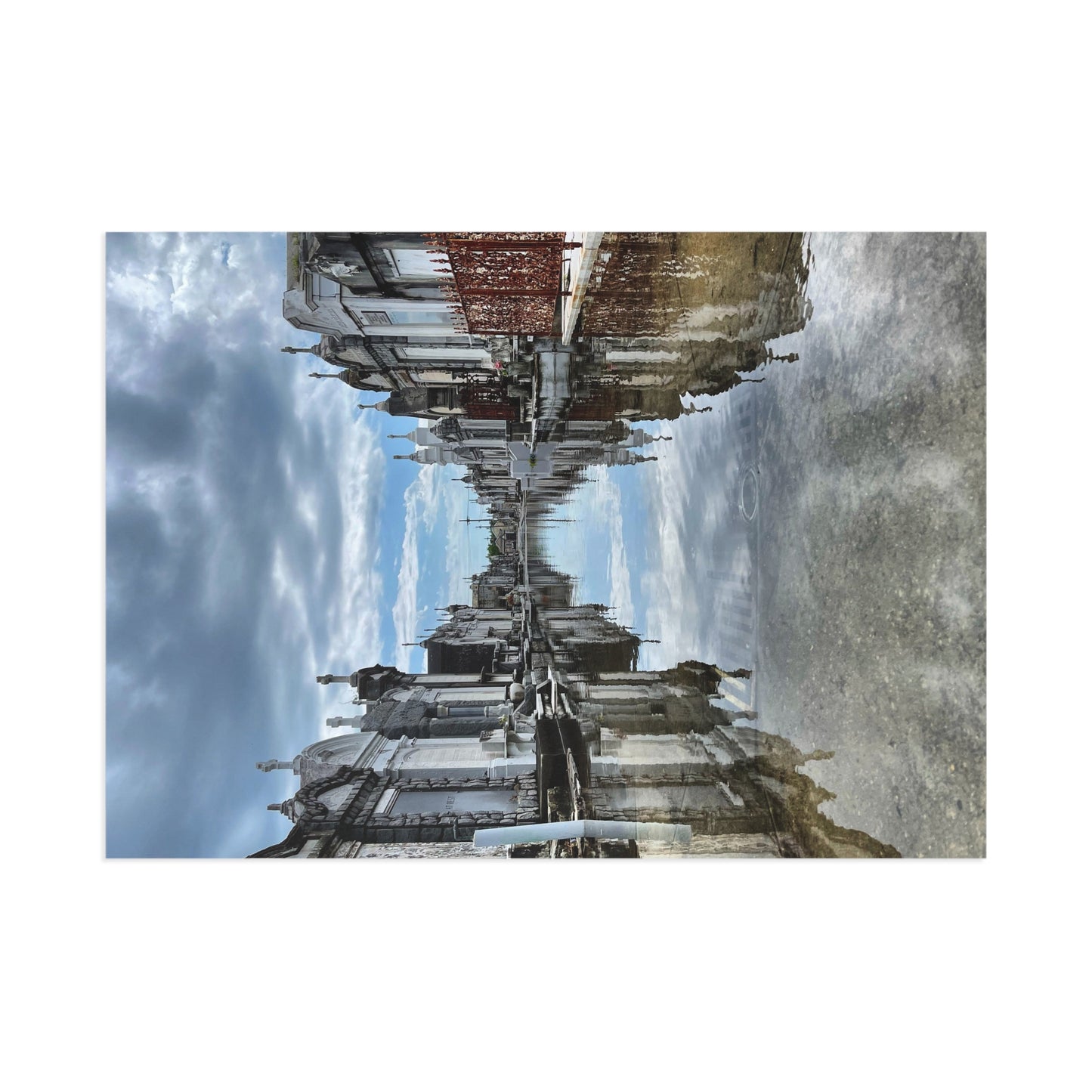 Avenue of Forever Postcard