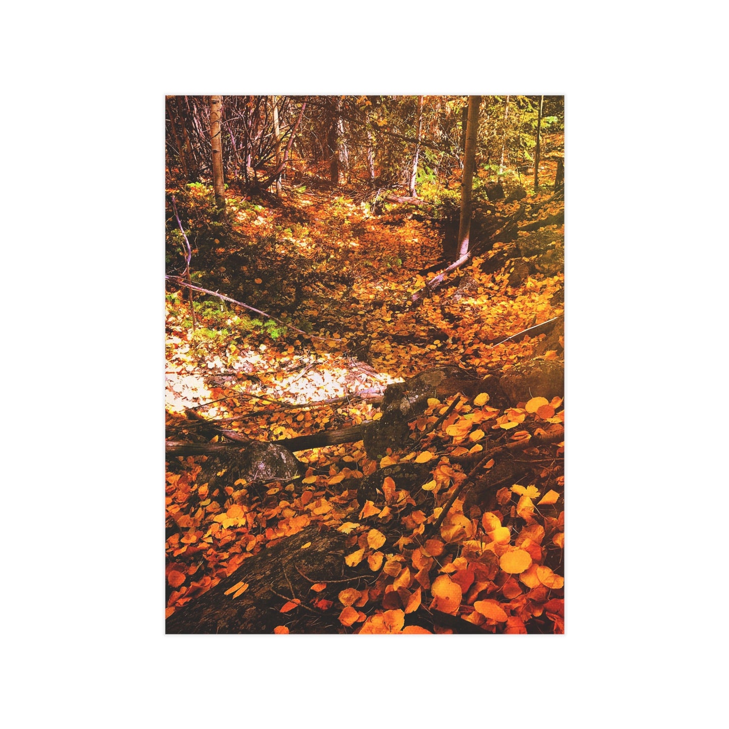 Autumn Gold Paper Print