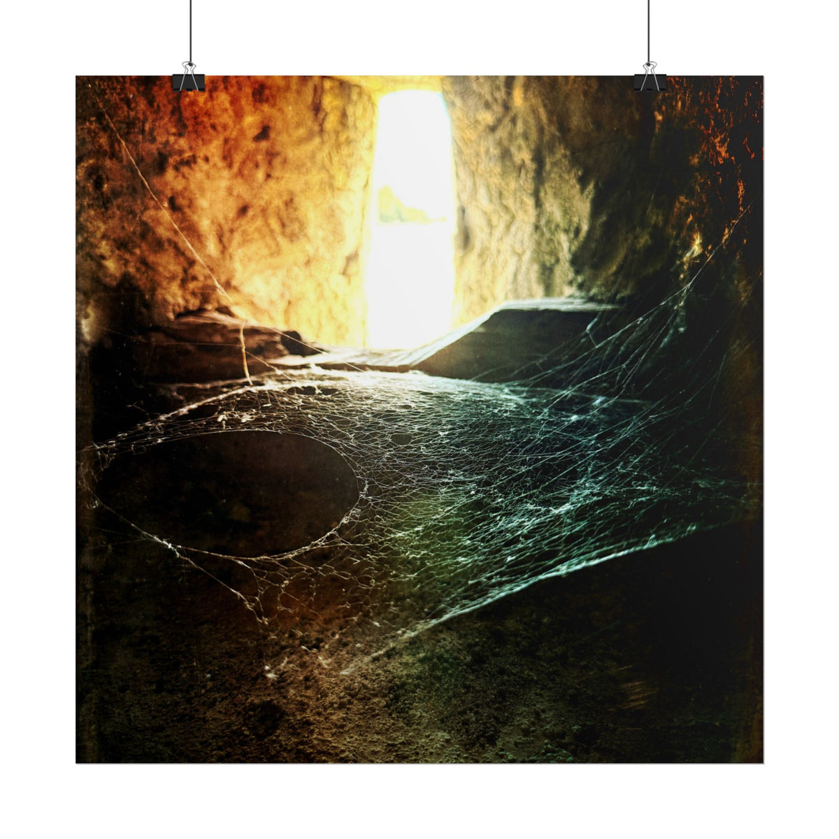 Where the Spiders Spin Rolled Posters